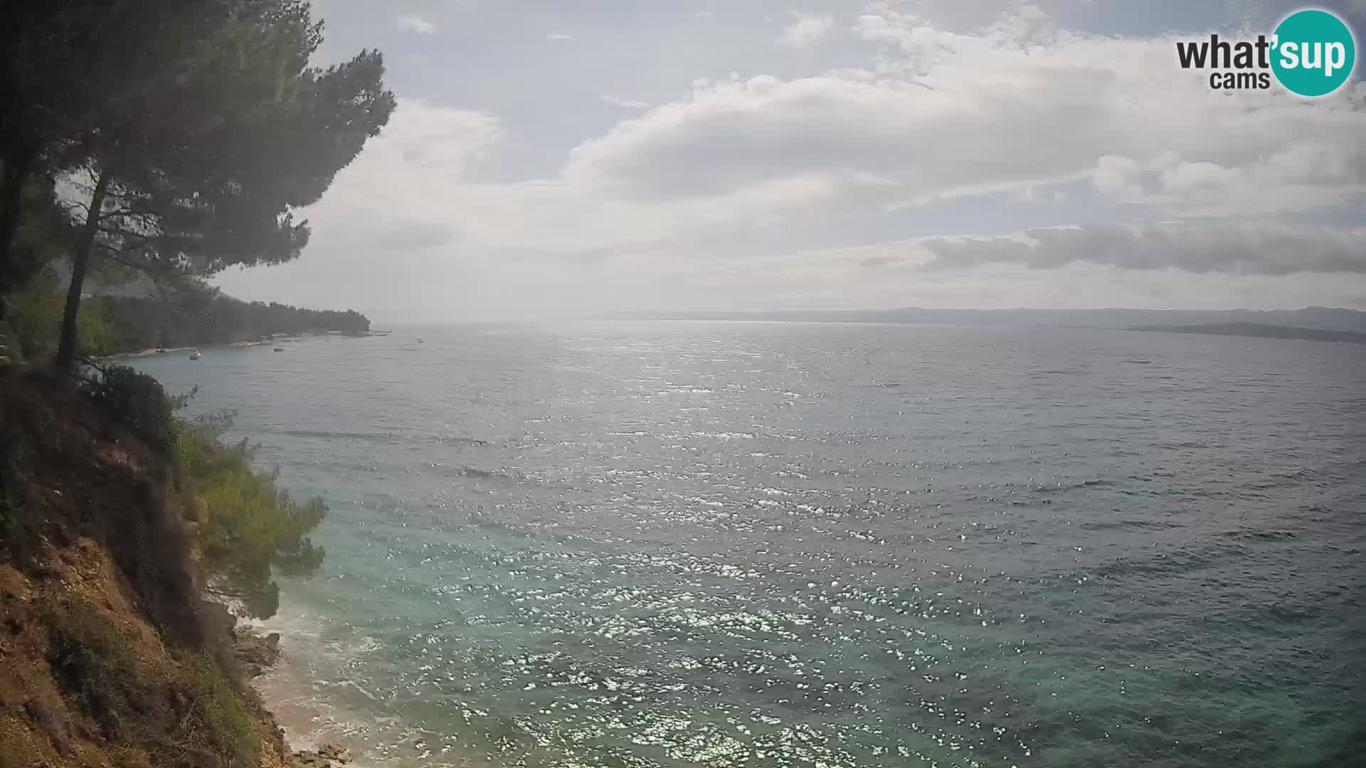 Webcam Playa Potočine Bol – Vista en vivo de Borak Beach, Isla de Brač