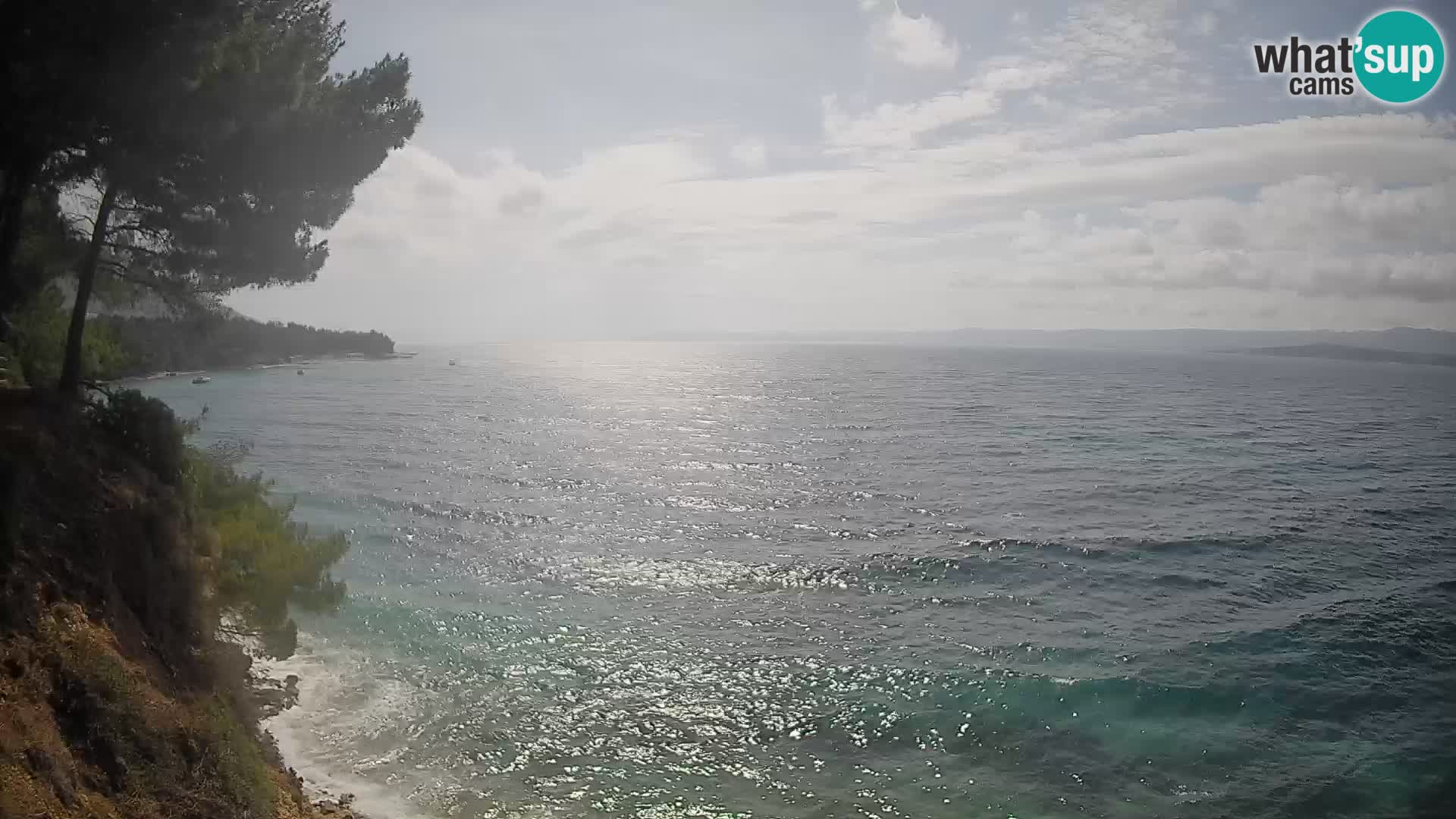 Webcam Potočine Beach Bol – Live View of Borak Beach, Brač Island