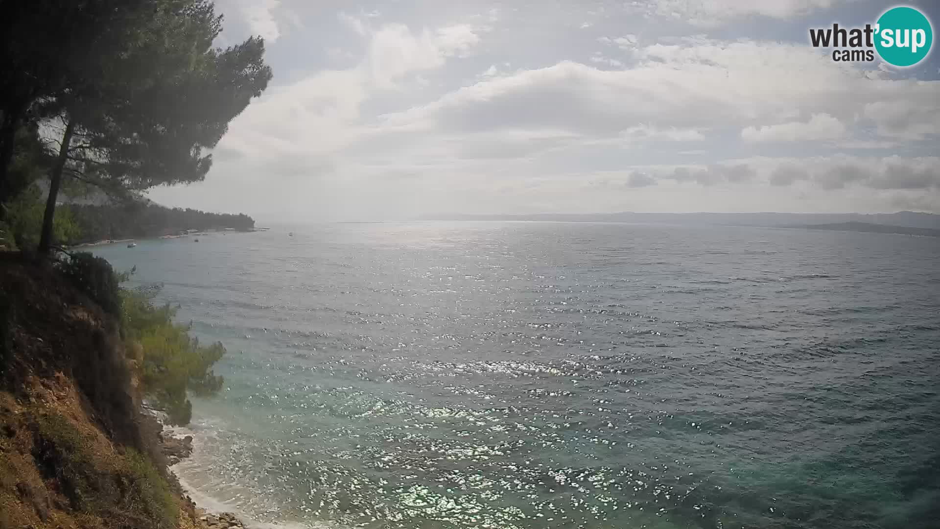 Webcam Potočine Beach Bol – Live View of Borak Beach, Brač Island