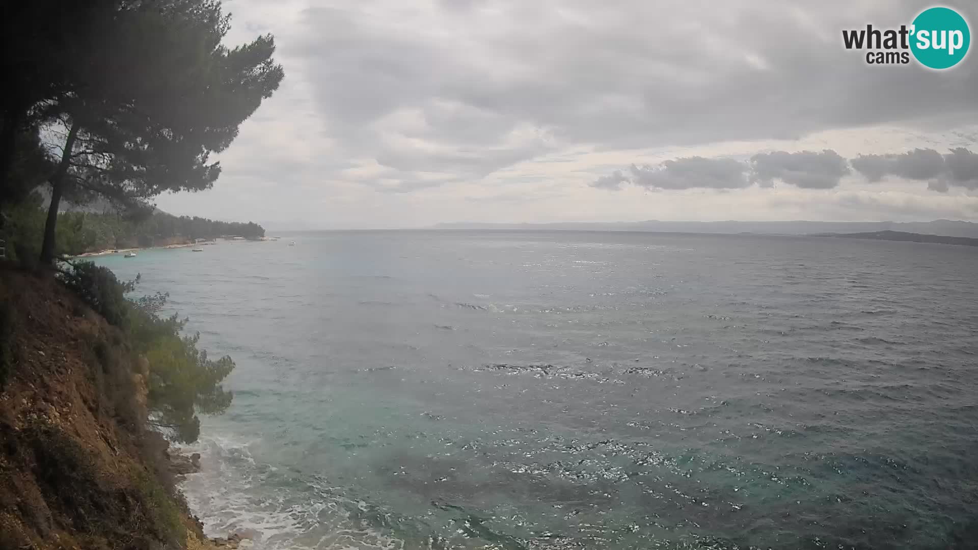 Webcam Potočine Beach Bol – Live View of Borak Beach, Brač Island