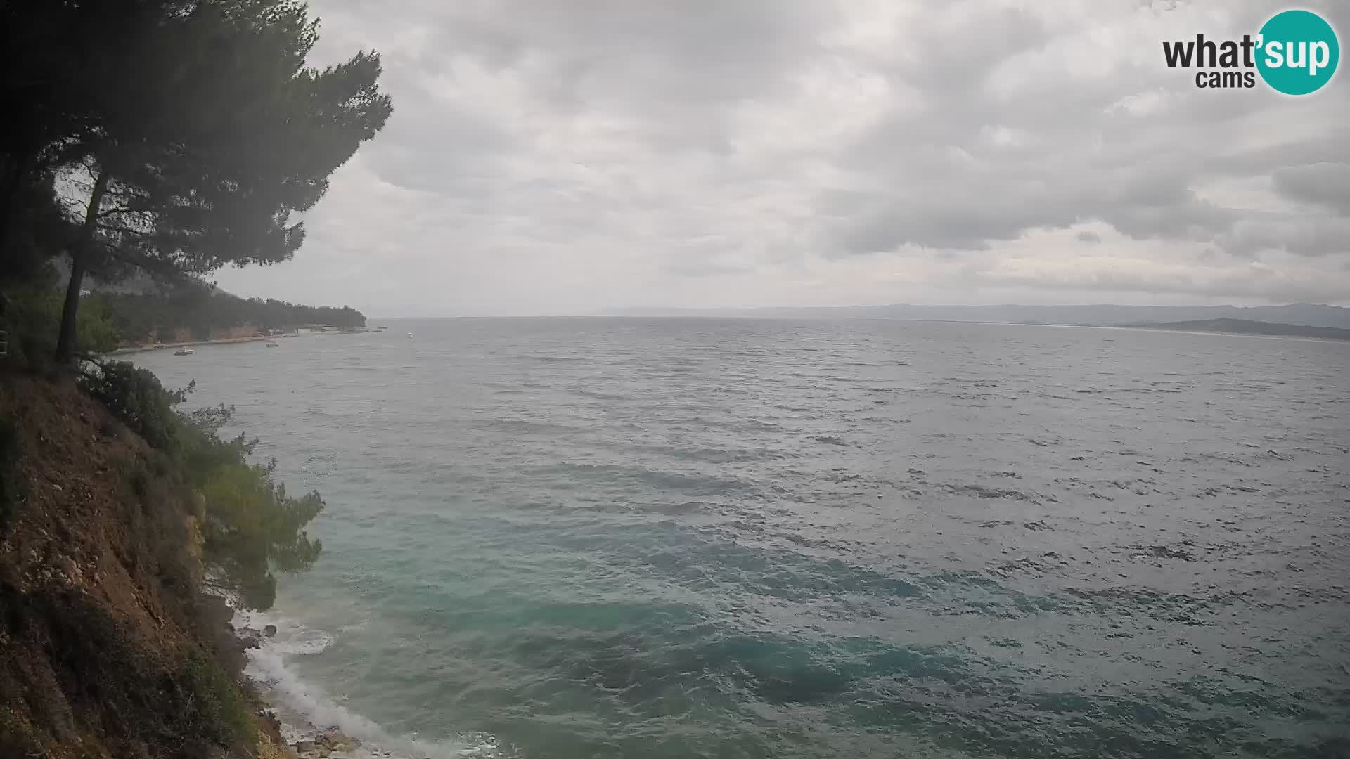 Webcam Playa Potočine Bol – Vista en vivo de Borak Beach, Isla de Brač