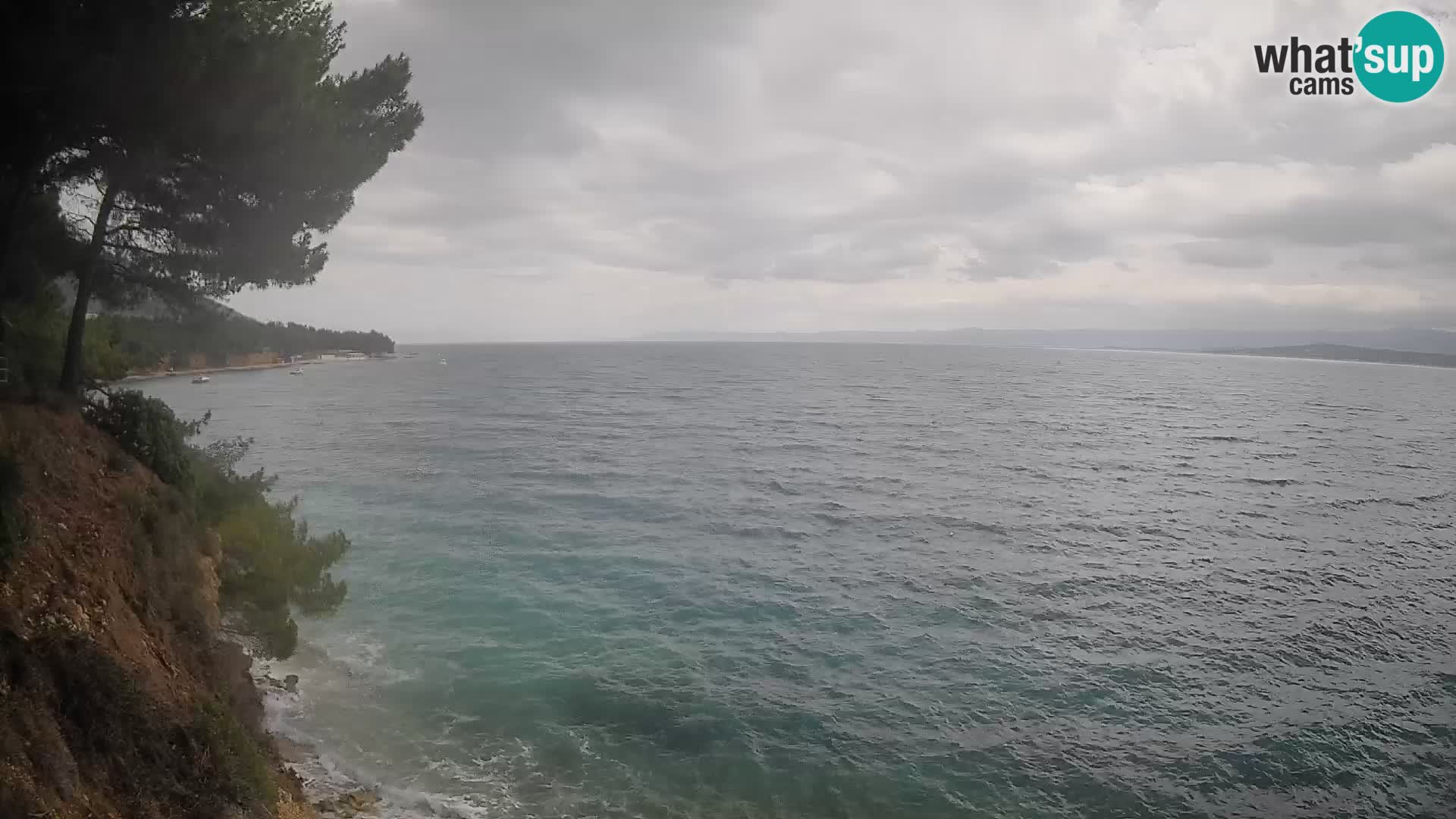 Webcam plage Potočine Bol – Vue en direct sur Borak Beach, île de Brač