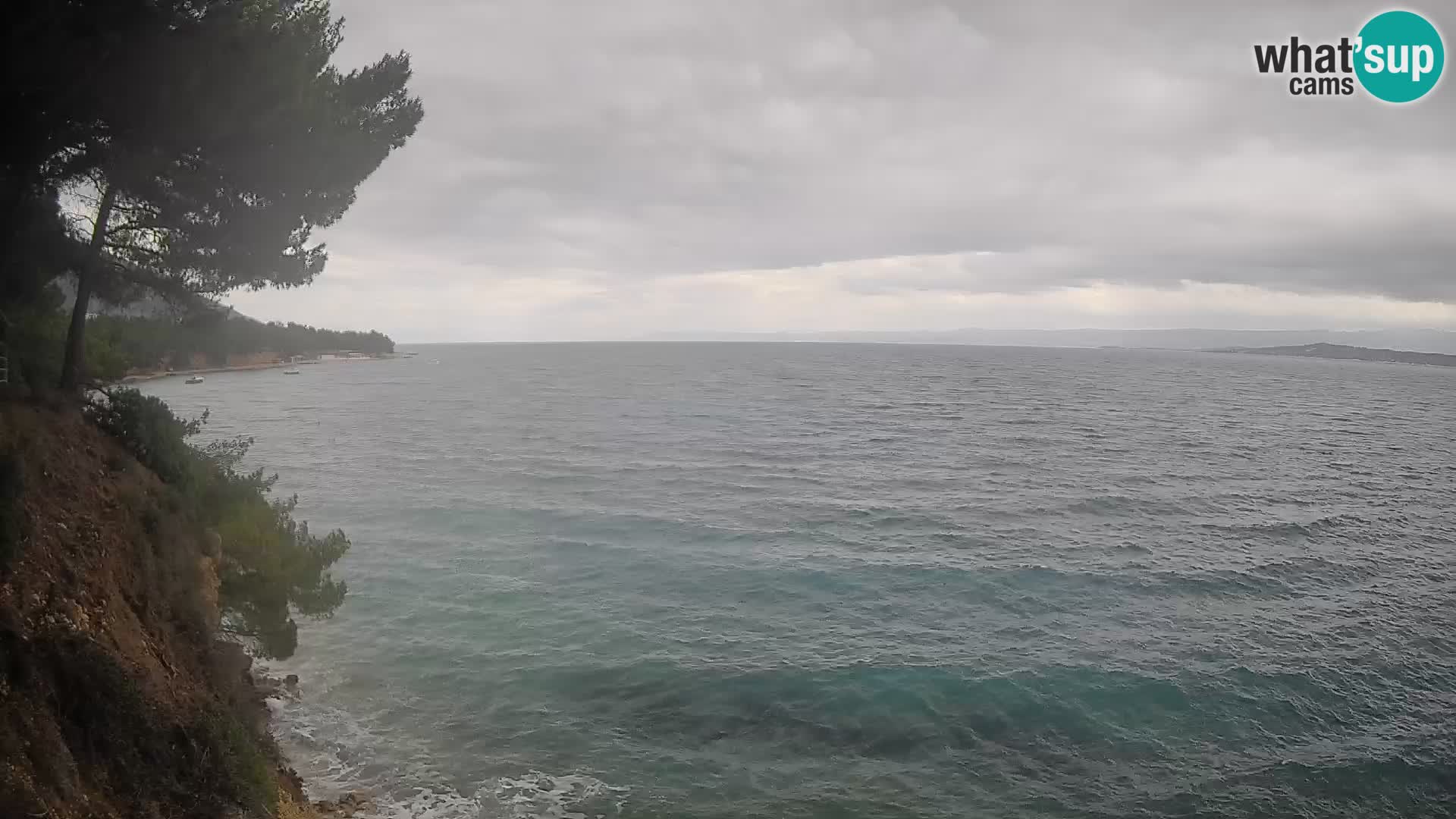 Webcam Potočine Beach Bol – Live View of Borak Beach, Brač Island