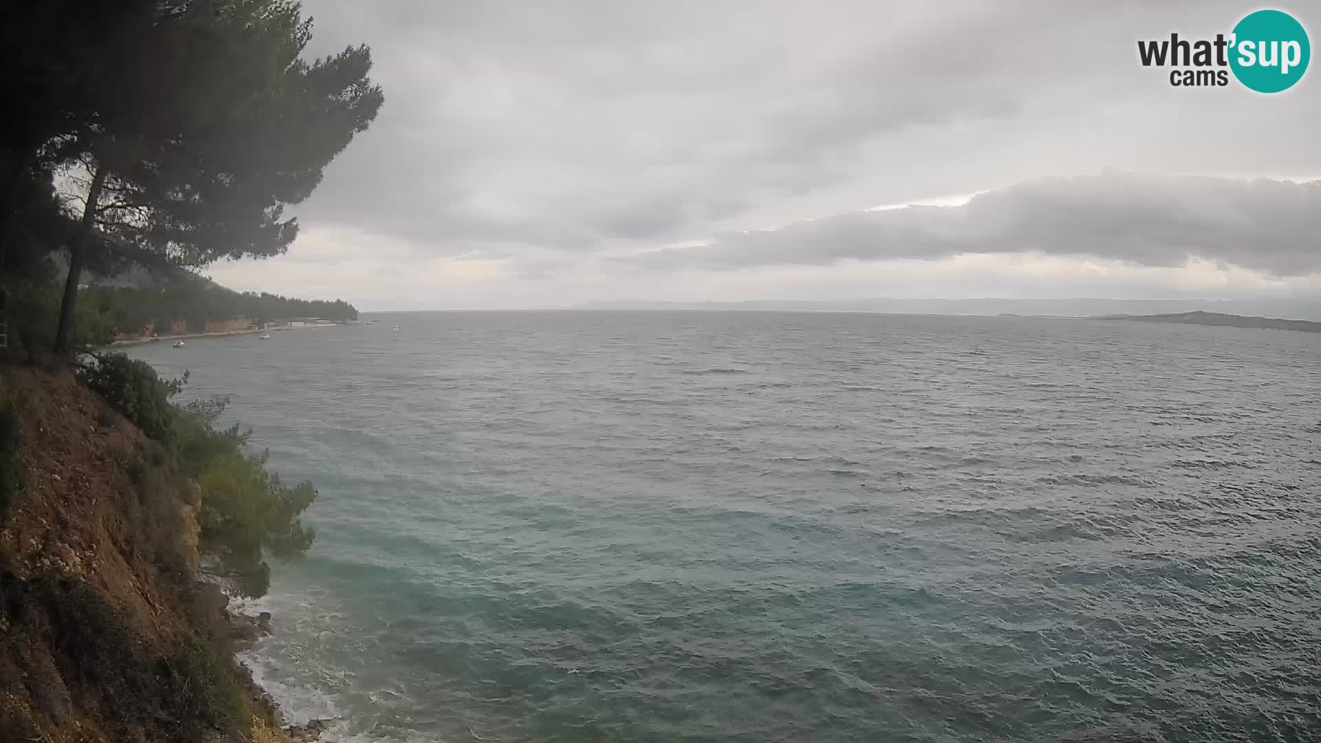 Webcam Potočine Beach Bol – Live View of Borak Beach, Brač Island