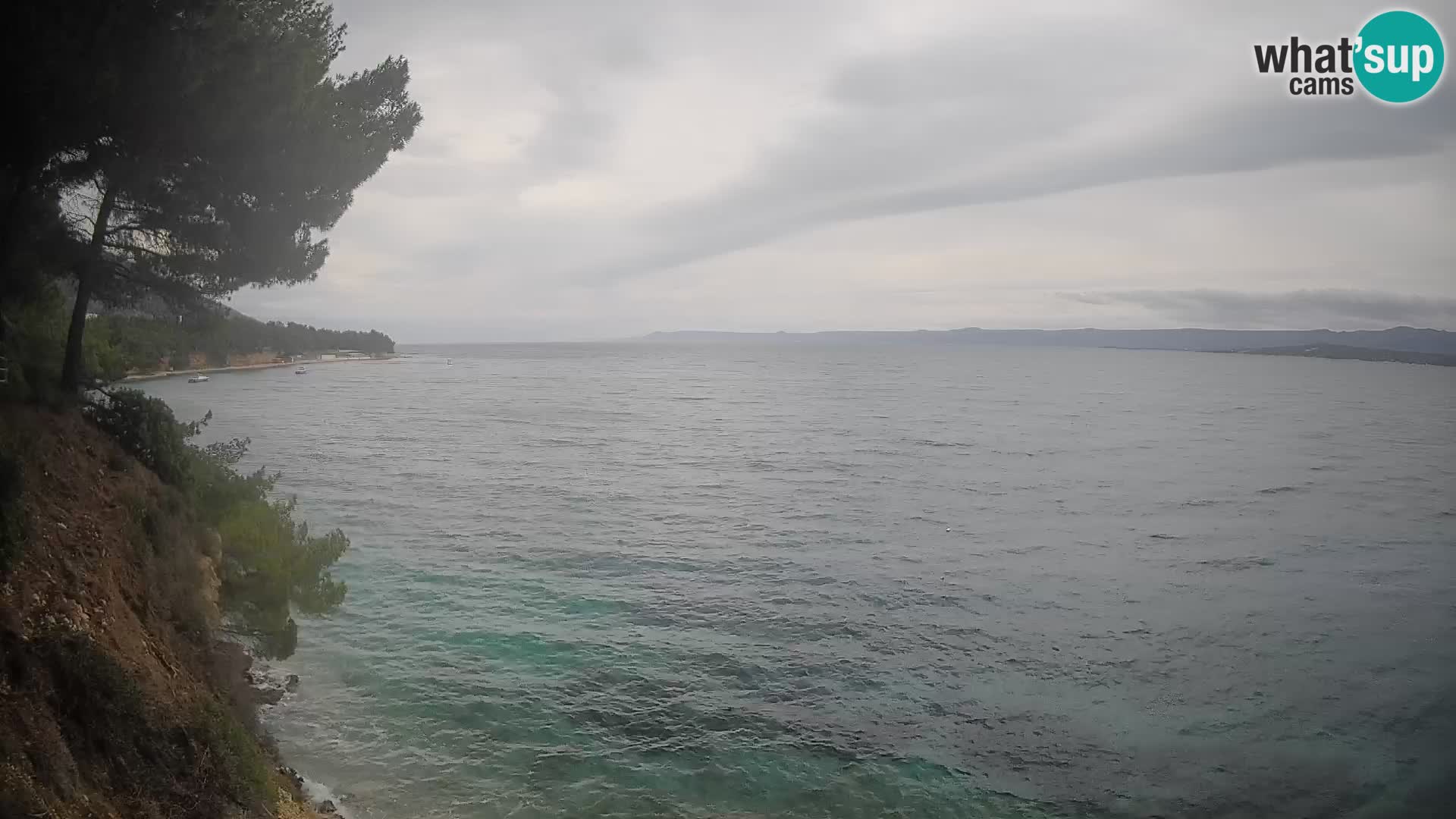 Webcam Potočine Beach Bol – Live View of Borak Beach, Brač Island