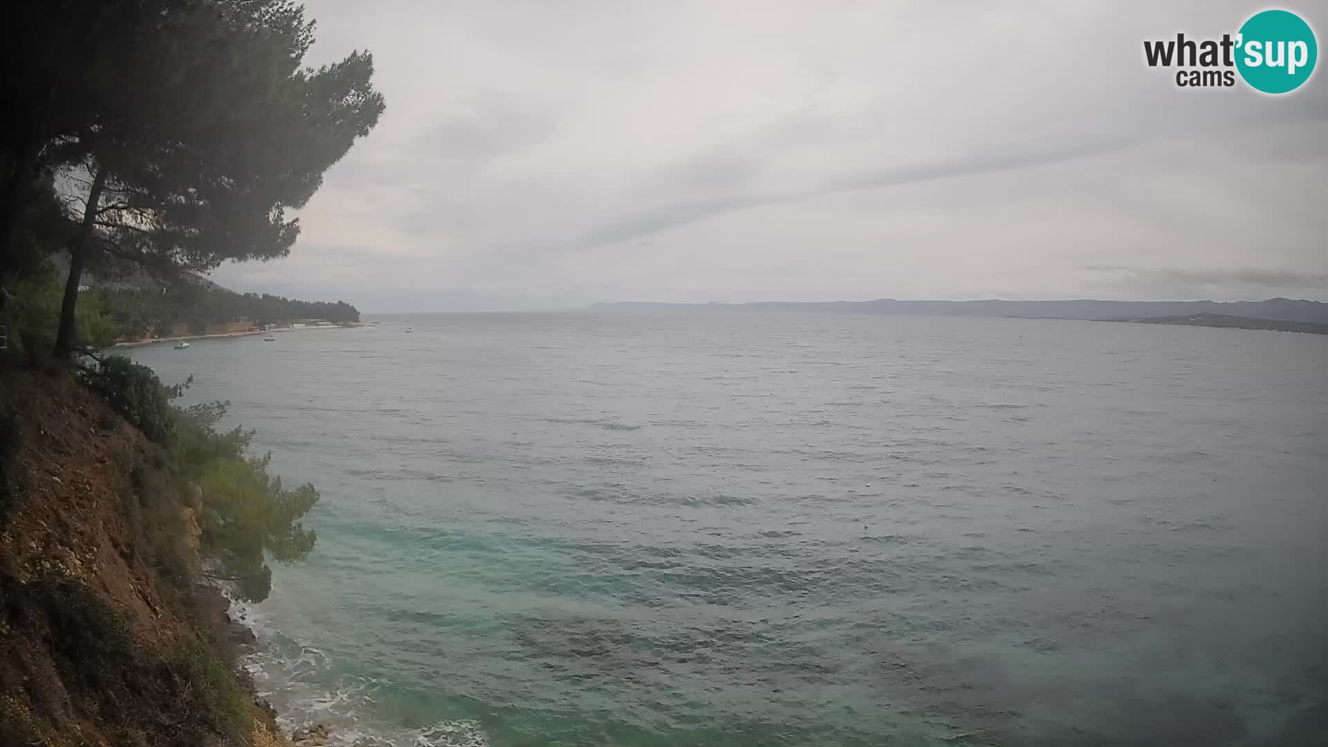 Webcam Playa Potočine Bol – Vista en vivo de Borak Beach, Isla de Brač