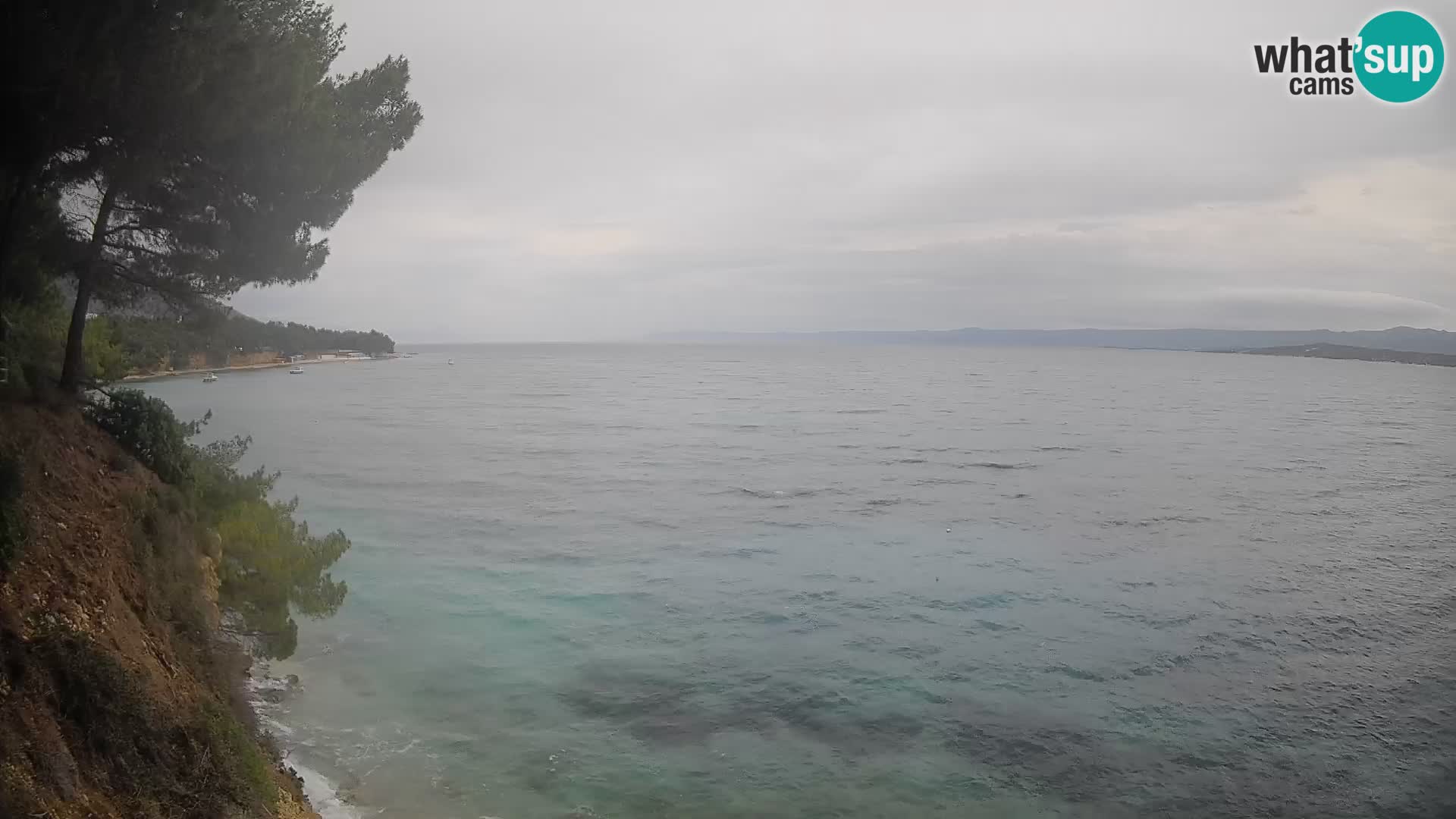 Webcam Potočine Beach Bol – Live View of Borak Beach, Brač Island