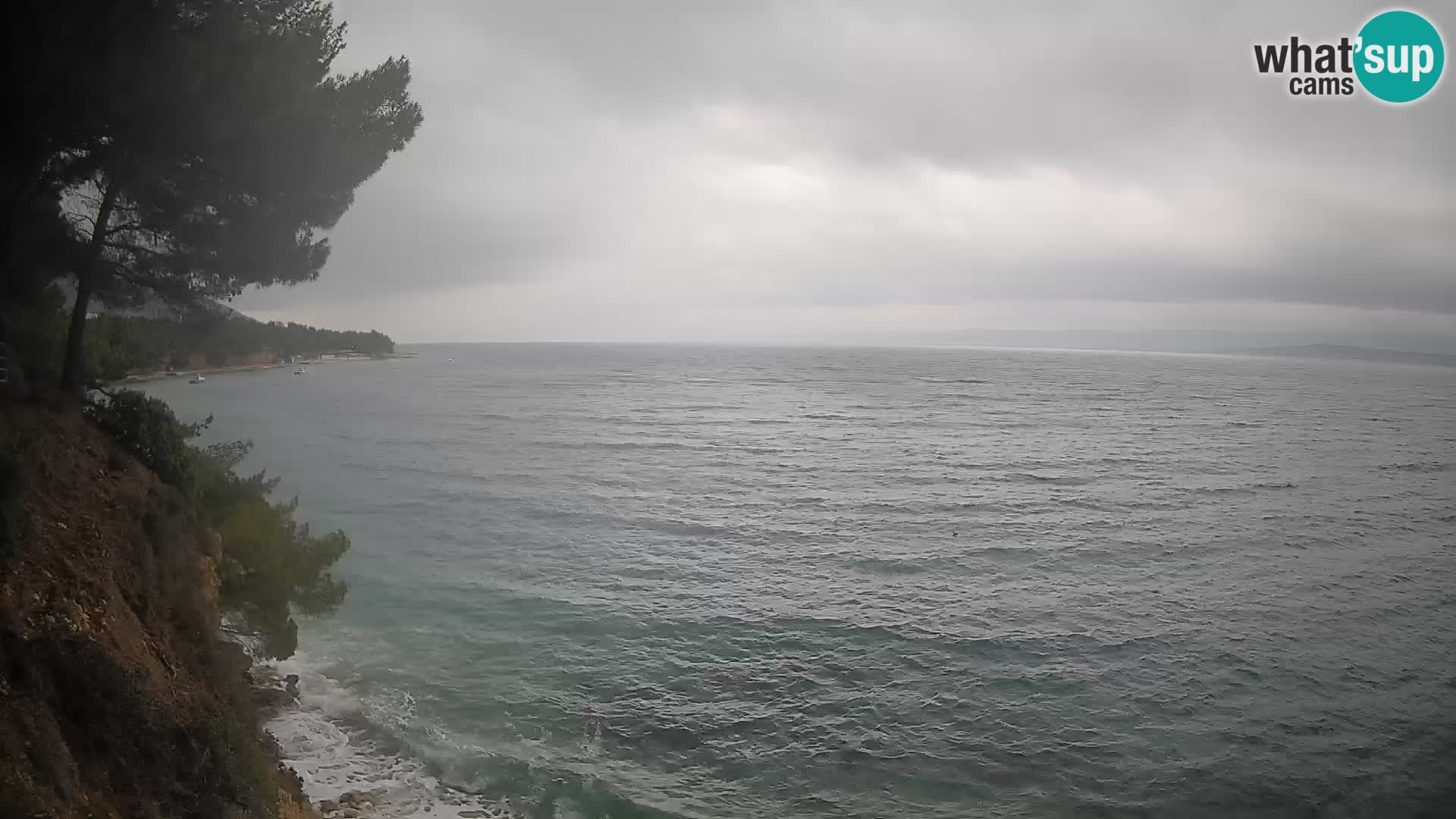 Webcam Potočine Beach Bol – Live View of Borak Beach, Brač Island