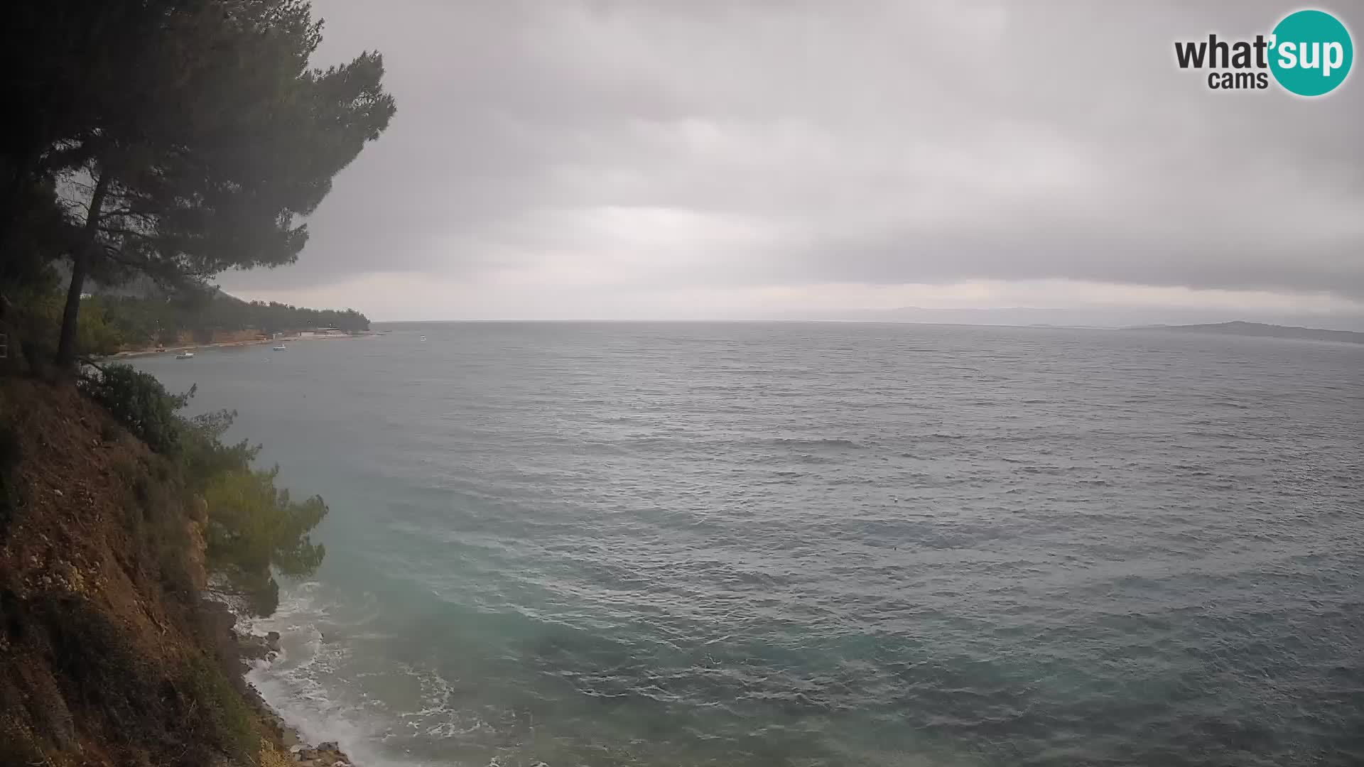 Webcam Playa Potočine Bol – Vista en vivo de Borak Beach, Isla de Brač