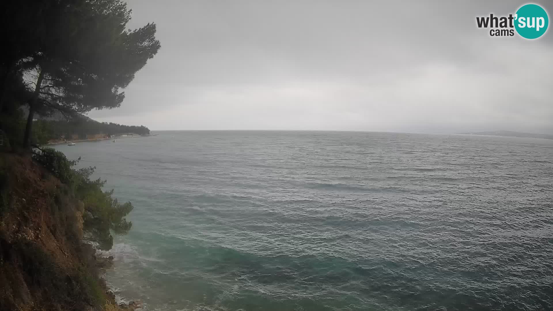 Webcam Potočine Beach Bol – Live View of Borak Beach, Brač Island
