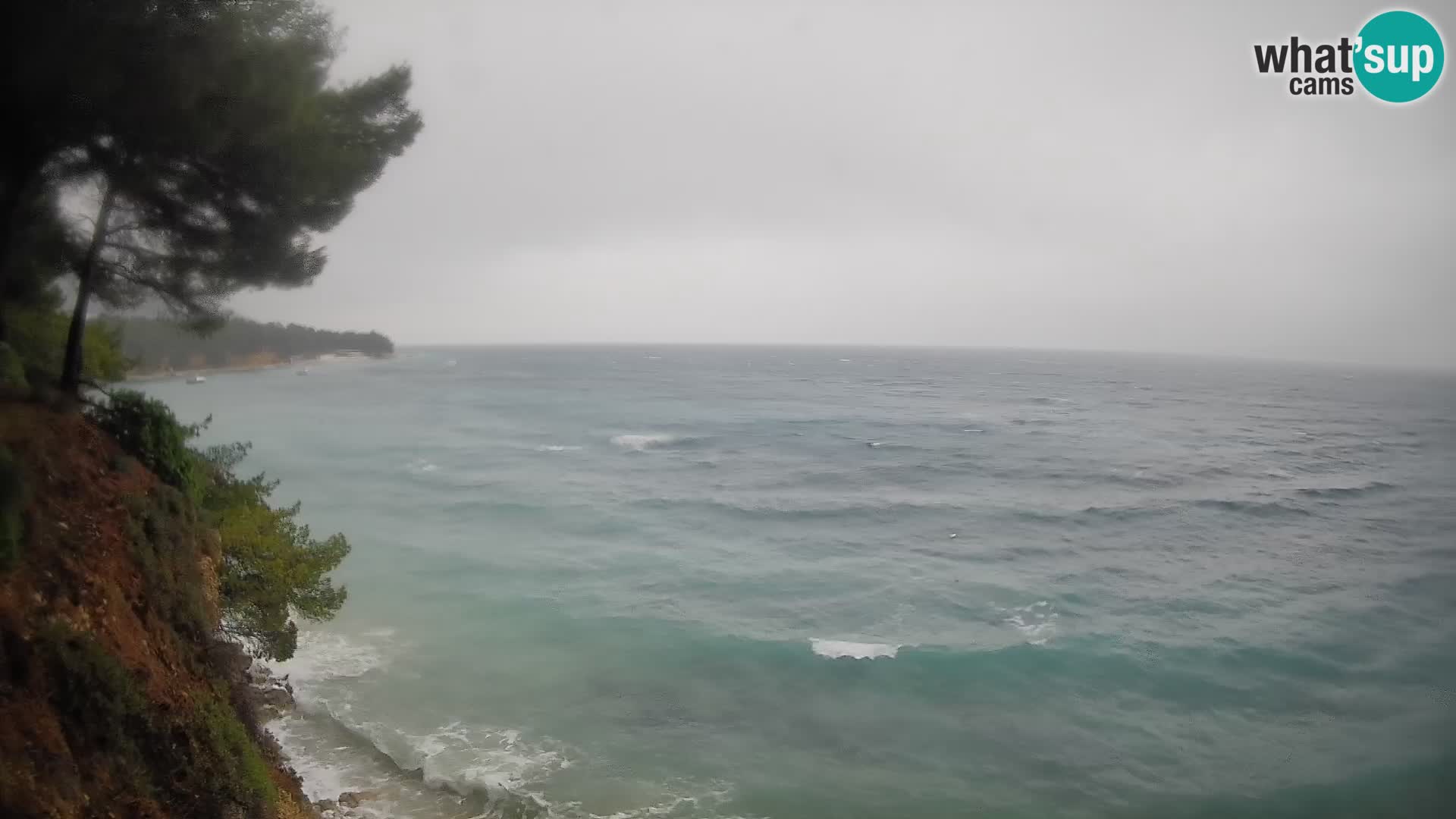 Webcam Potočine Beach Bol – Live View of Borak Beach, Brač Island