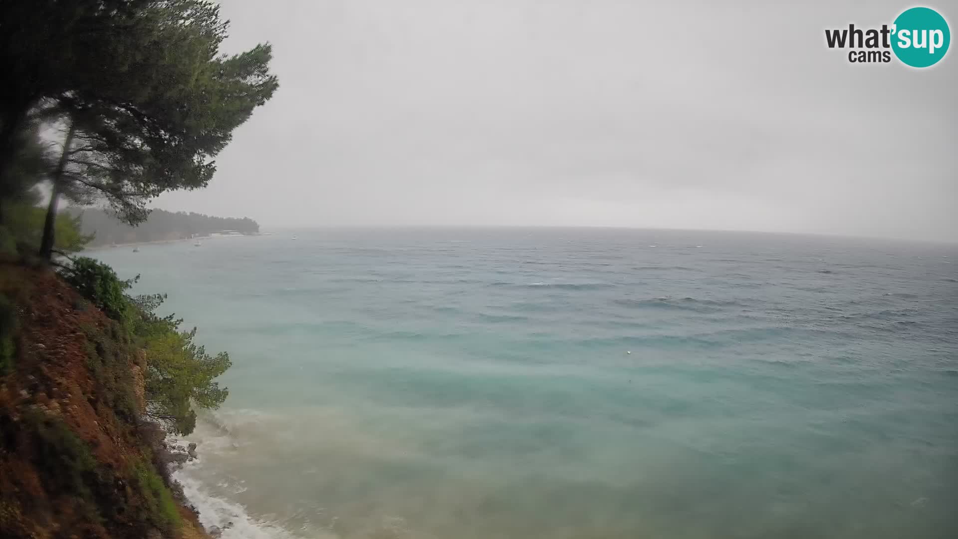 Webcam plage Potočine Bol – Vue en direct sur Borak Beach, île de Brač