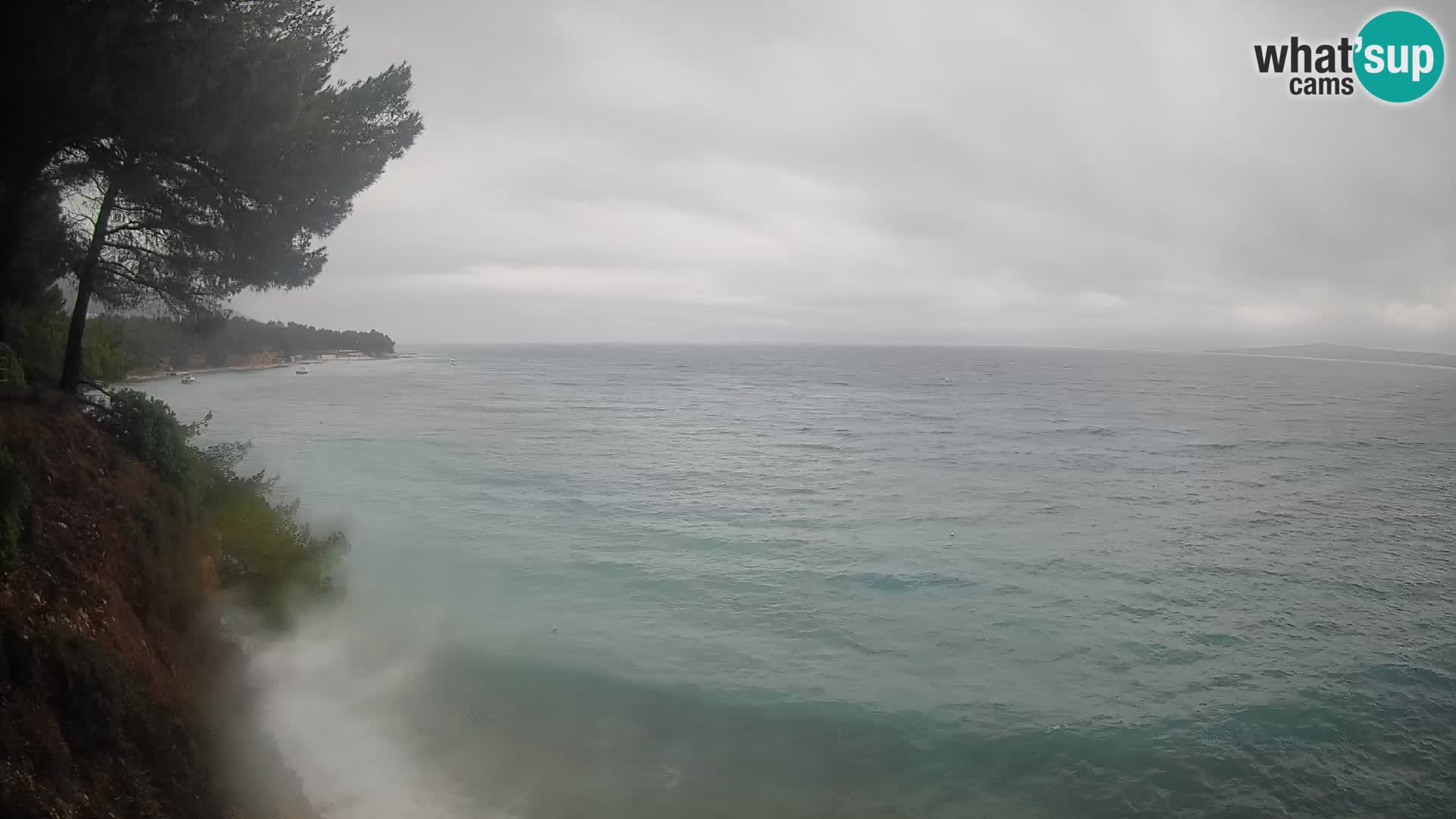 Webcam Potočine Beach Bol – Live View of Borak Beach, Brač Island