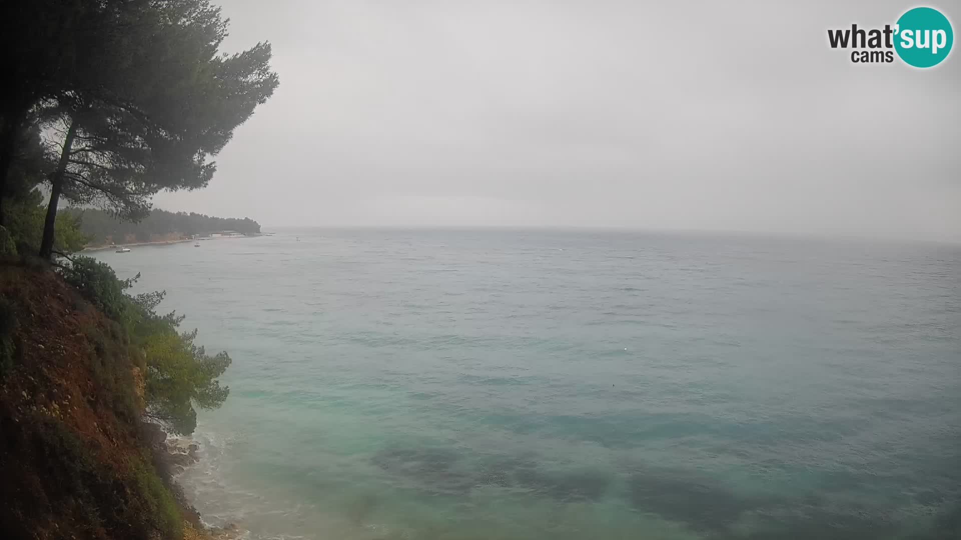 Webcam Spiaggia Potočine Bol – Vista live sulla spiaggia Borak, Isola di Brač