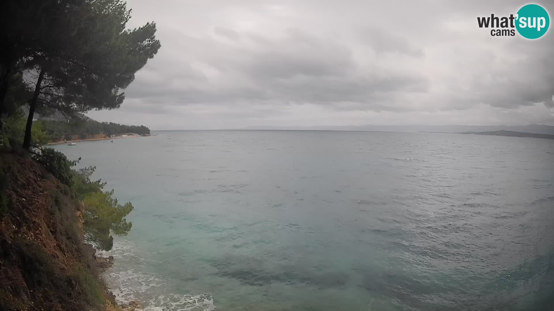 Webcam Potočine Beach Bol – Live View of Borak Beach, Brač Island