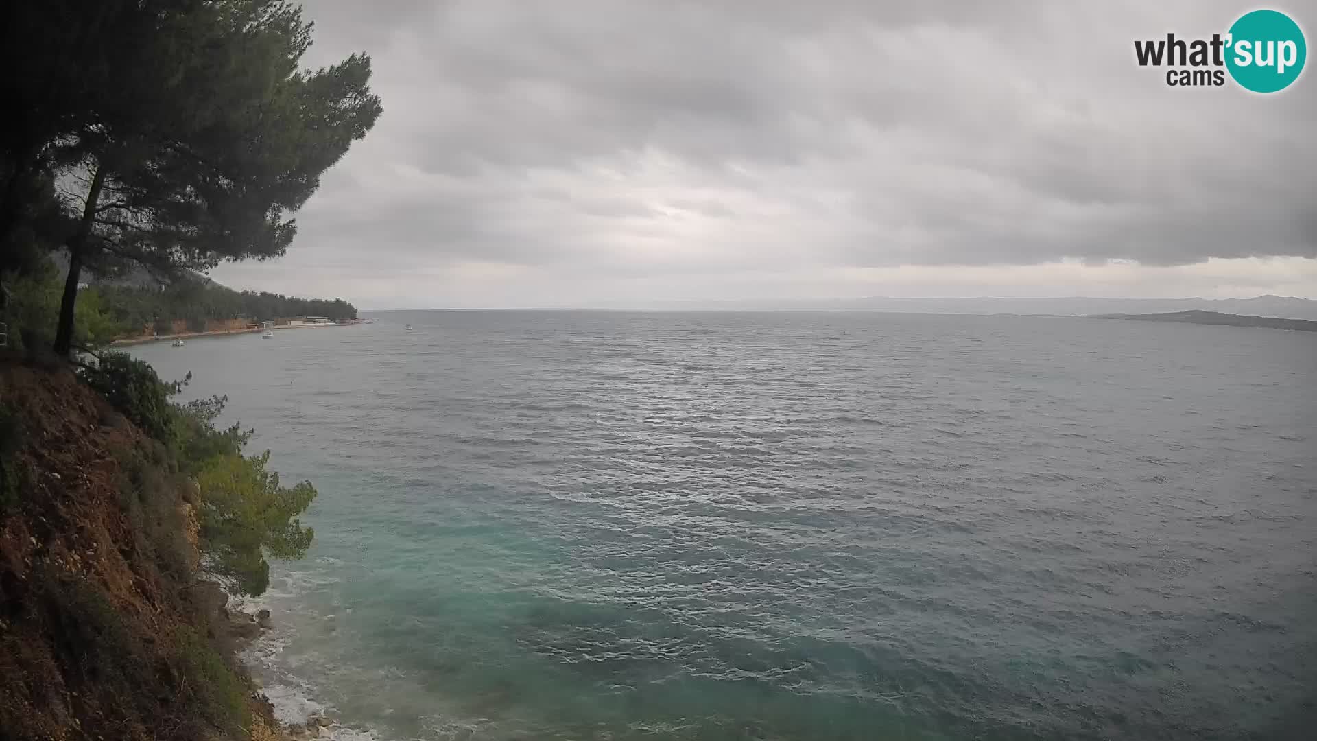 Webcam Potočine Beach Bol – Live View of Borak Beach, Brač Island