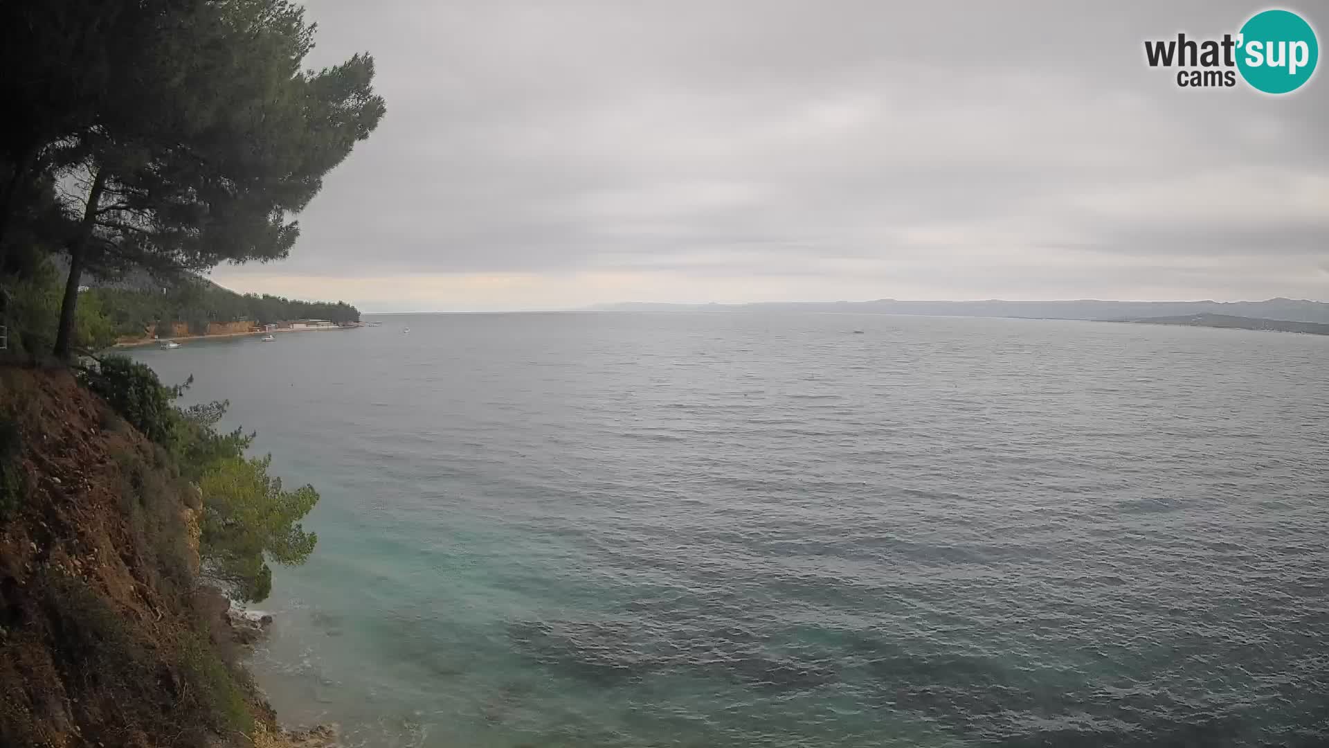 Webcam Potočine Beach Bol – Live View of Borak Beach, Brač Island
