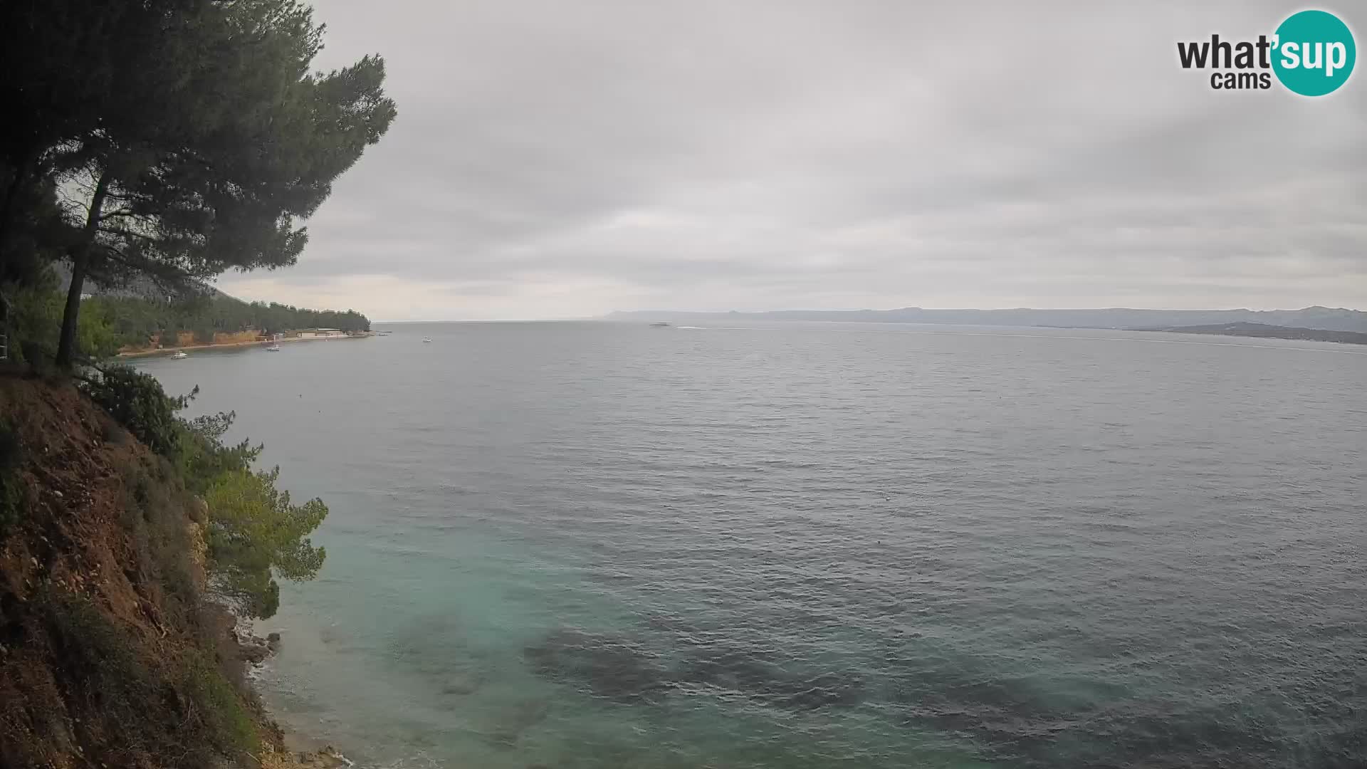 Webcam Potočine Beach Bol – Live View of Borak Beach, Brač Island