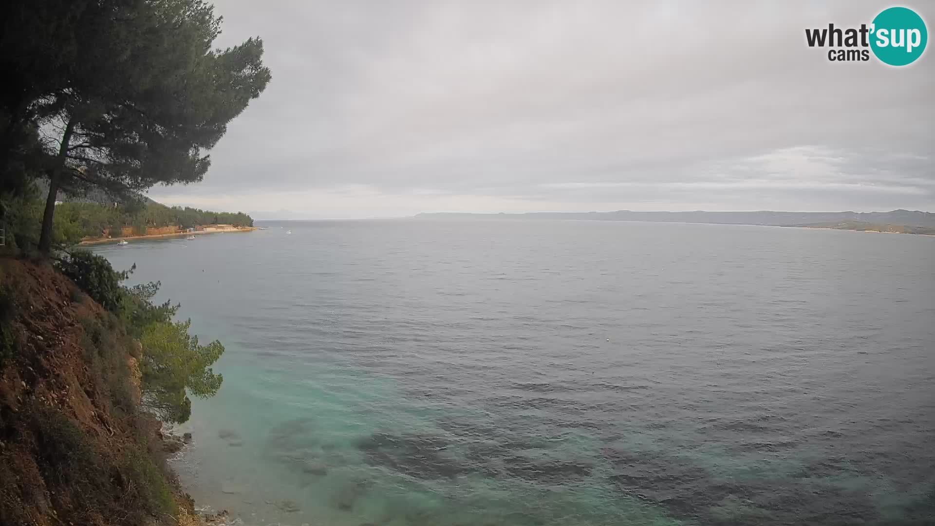 Webcam Potočine Beach Bol – Live View of Borak Beach, Brač Island