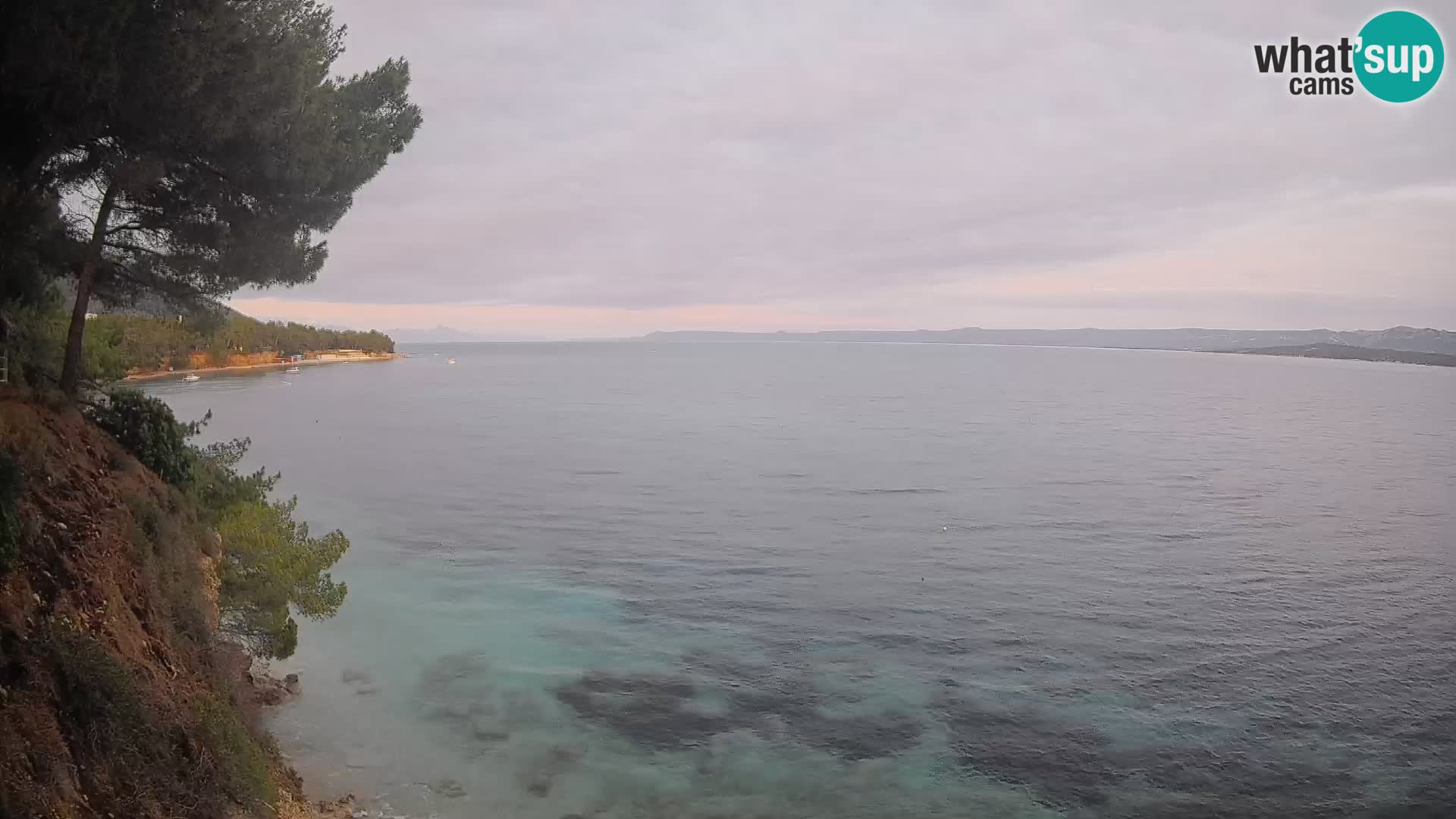 Webcam Potočine Beach Bol – Live View of Borak Beach, Brač Island