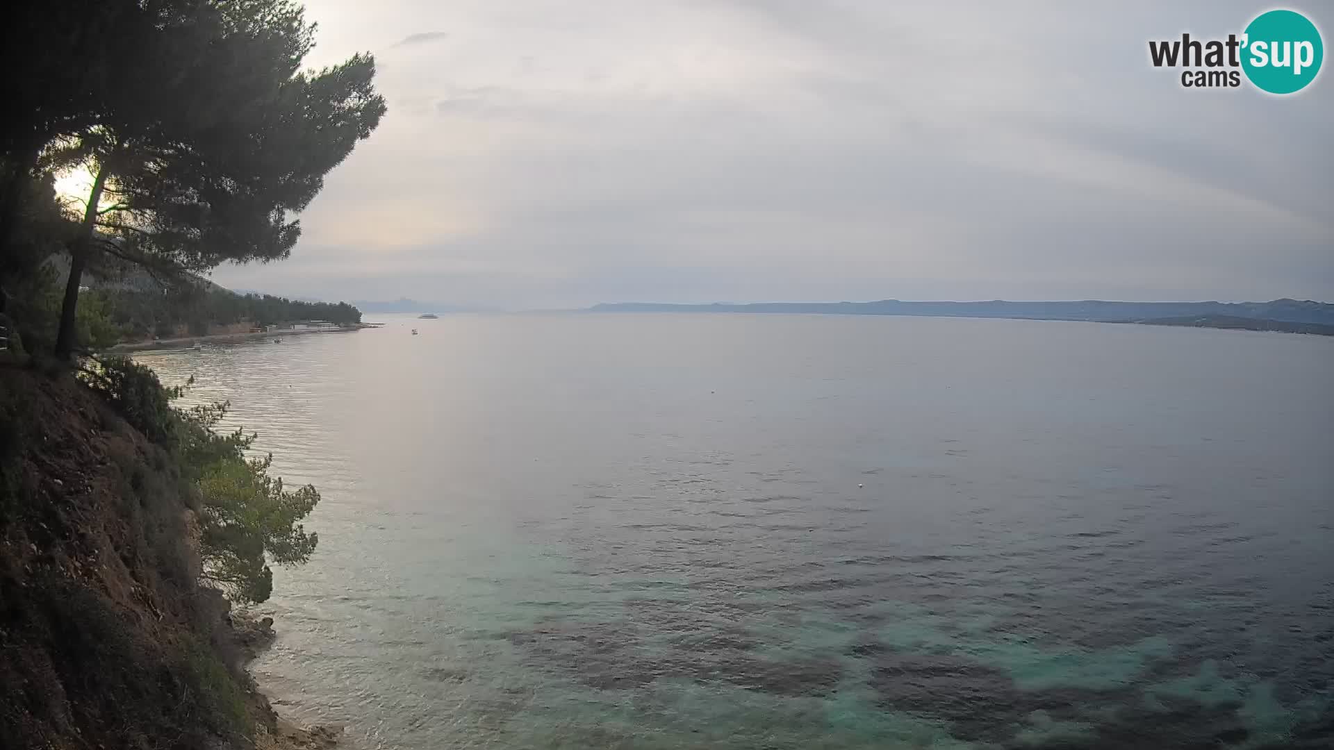 Webcam Playa Potočine Bol – Vista en vivo de Borak Beach, Isla de Brač