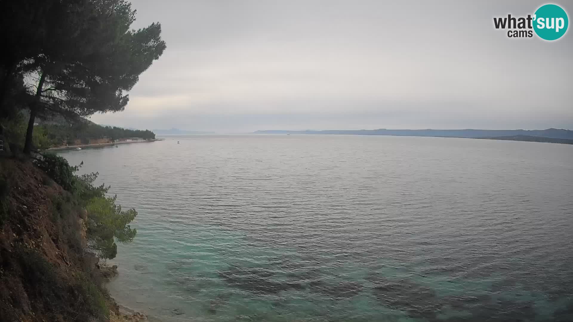 Webcam Potočine Beach Bol – Live View of Borak Beach, Brač Island