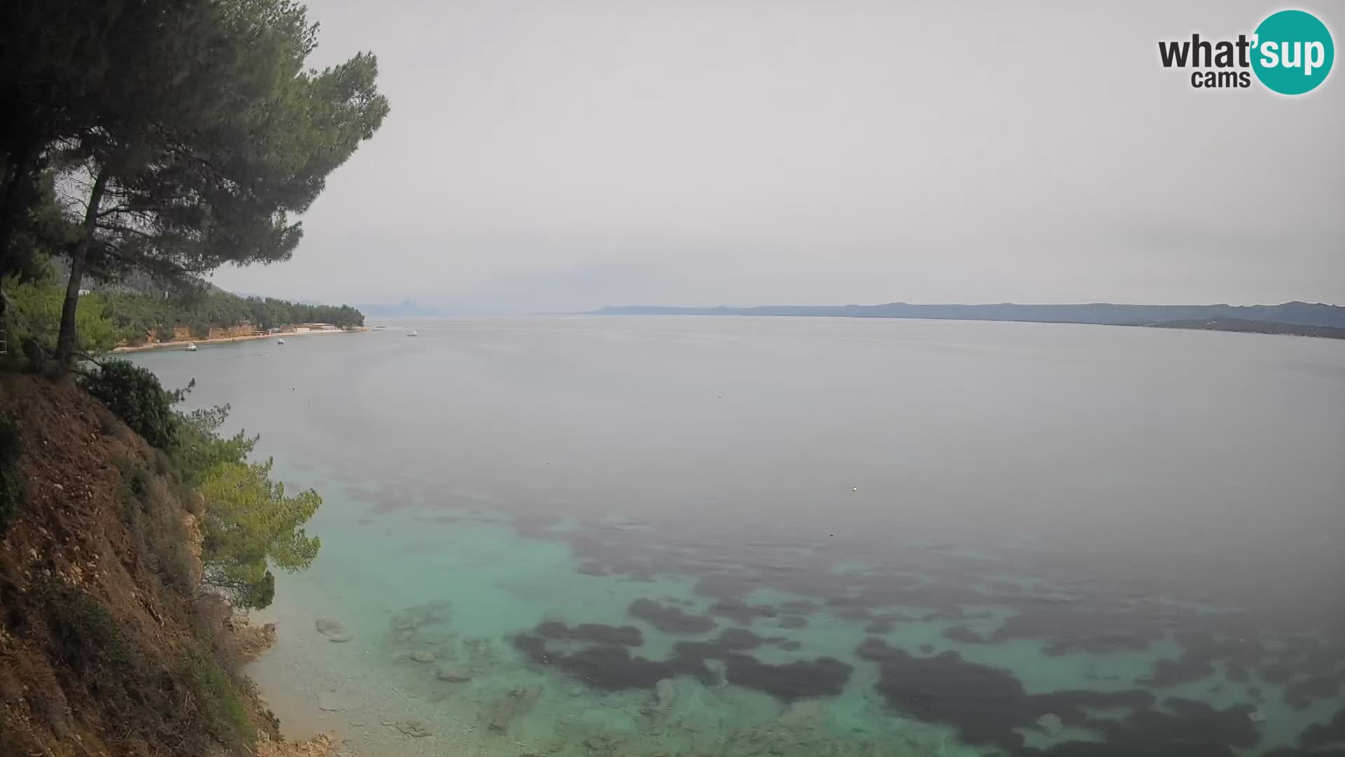 Webcam Potočine Beach Bol – Live View of Borak Beach, Brač Island