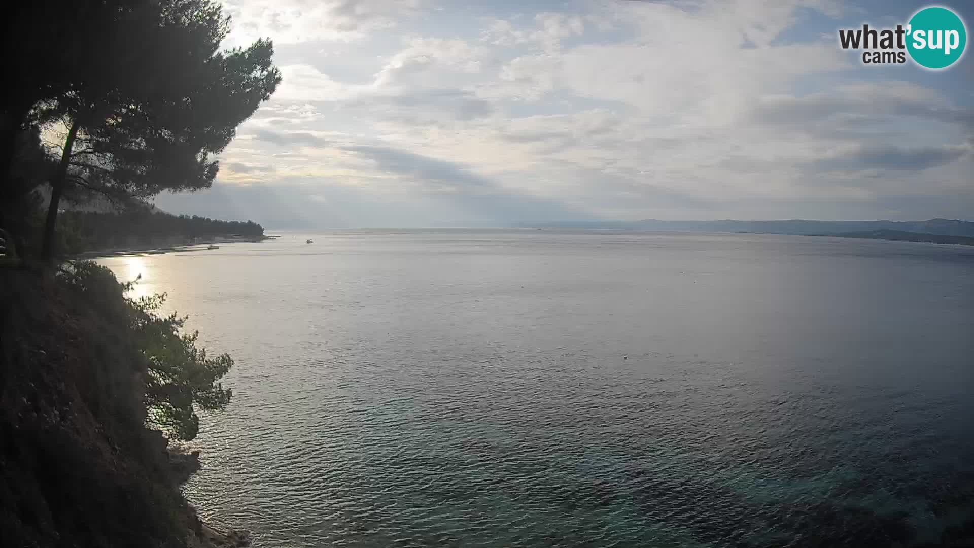 Webcam Playa Potočine Bol – Vista en vivo de Borak Beach, Isla de Brač