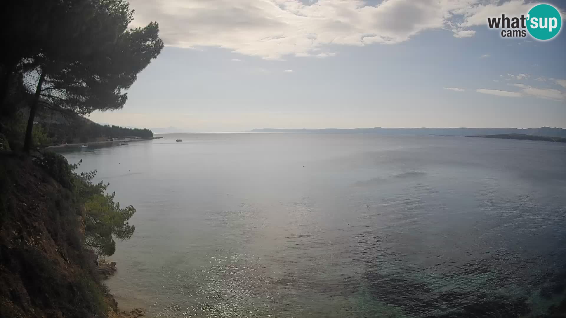 Webcam Potočine Beach Bol – Live View of Borak Beach, Brač Island