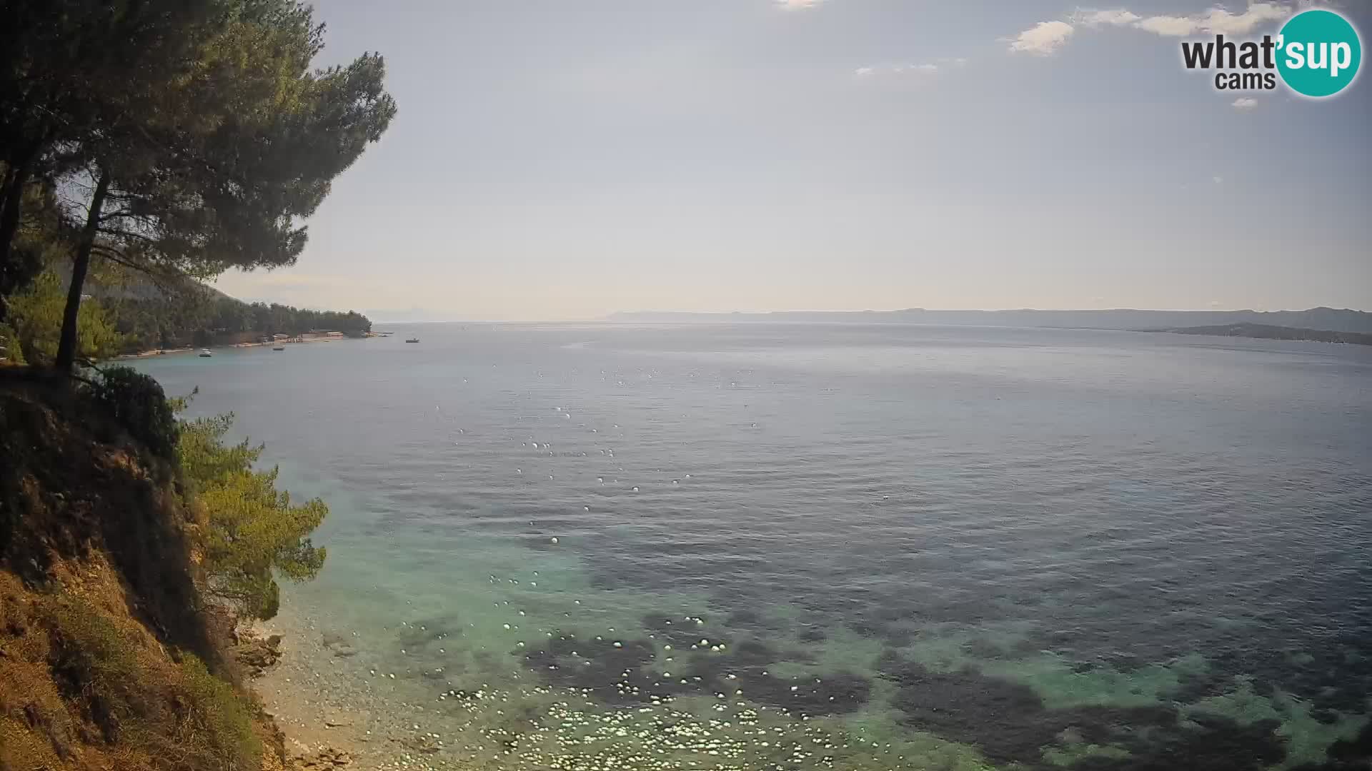Webcam plage Potočine Bol – Vue en direct sur Borak Beach, île de Brač