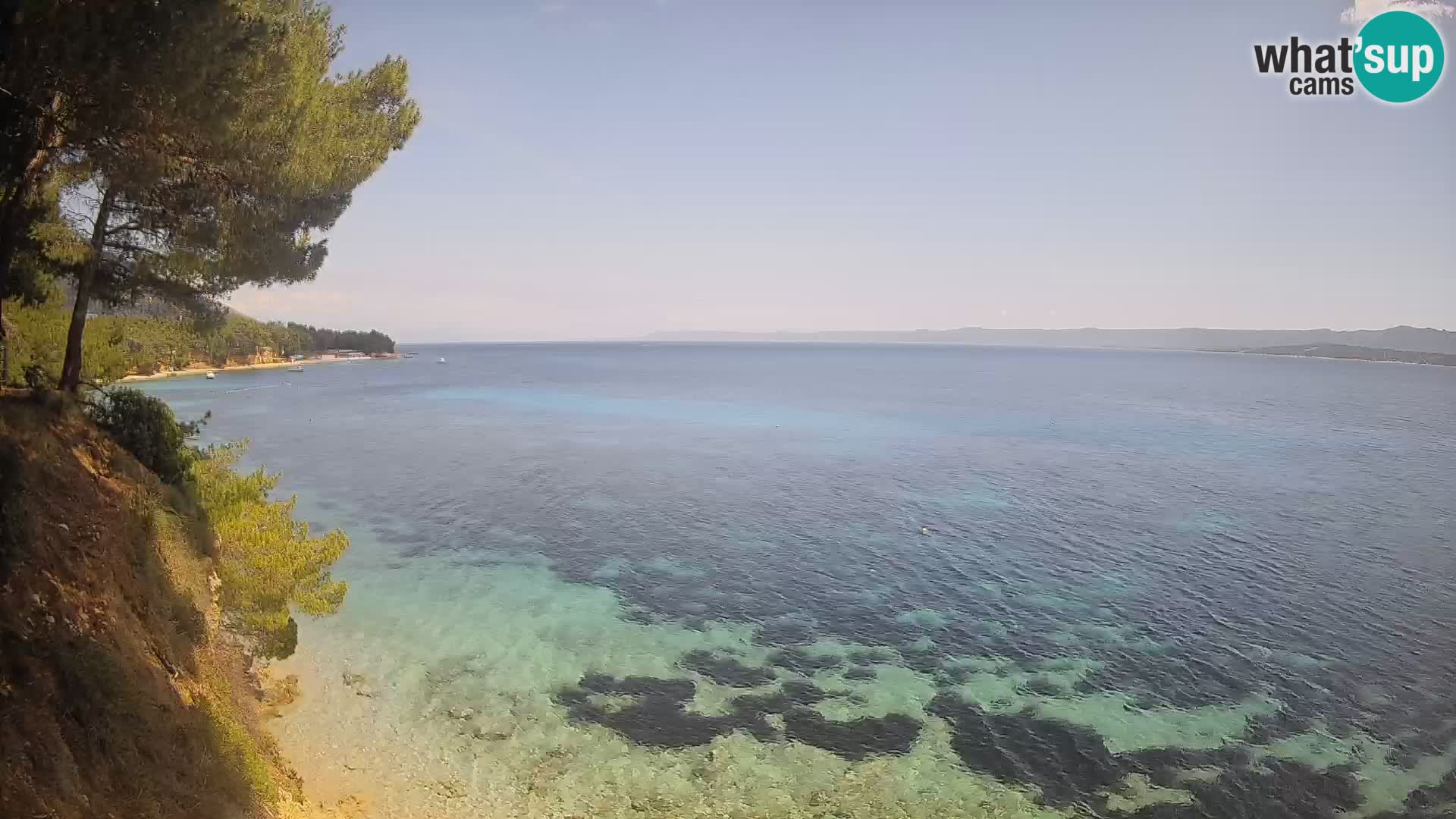 Webcam Potočine Beach Bol – Live View of Borak Beach, Brač Island