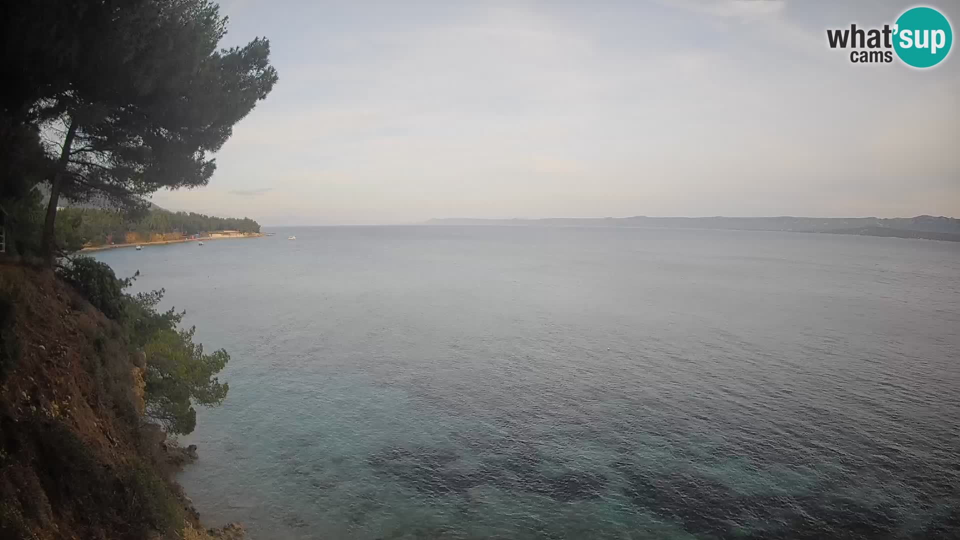 Webcam Potočine Beach Bol – Live View of Borak Beach, Brač Island