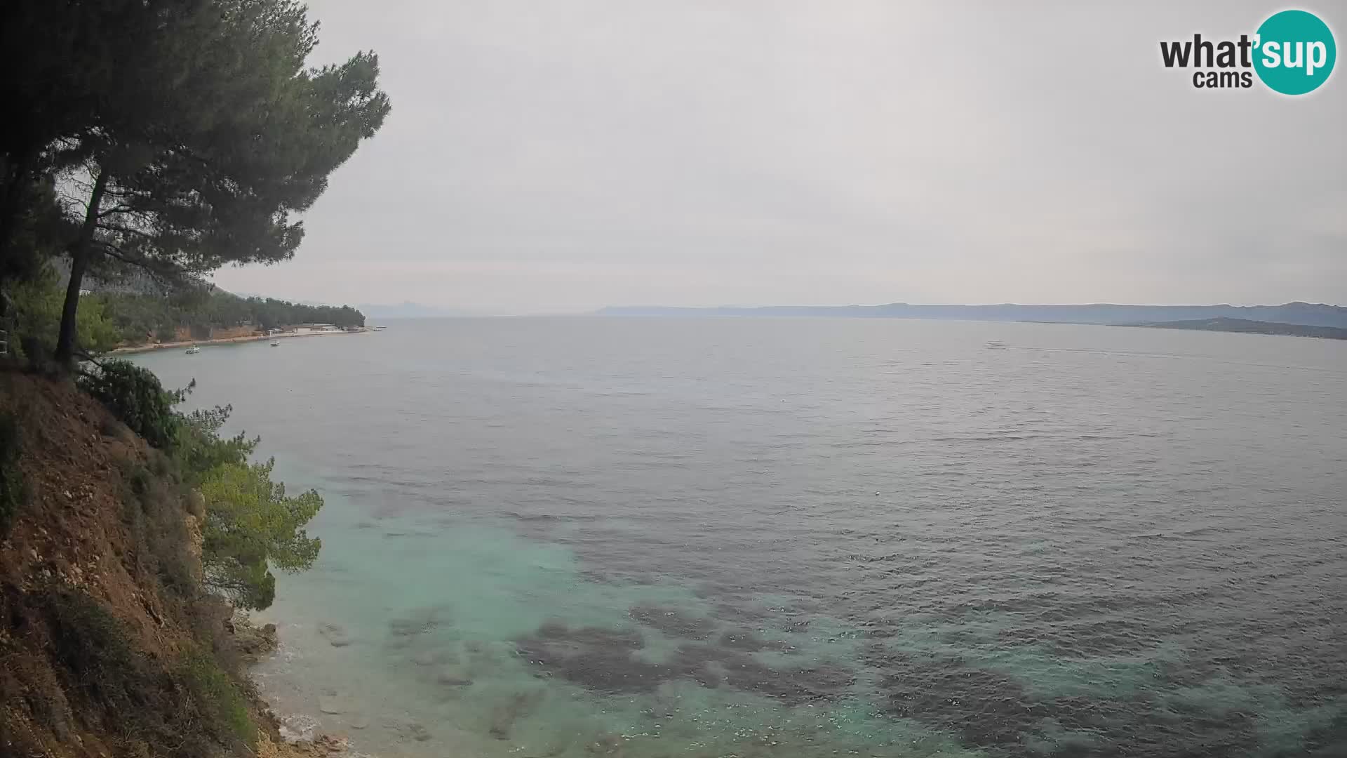 Webcam Playa Potočine Bol – Vista en vivo de Borak Beach, Isla de Brač