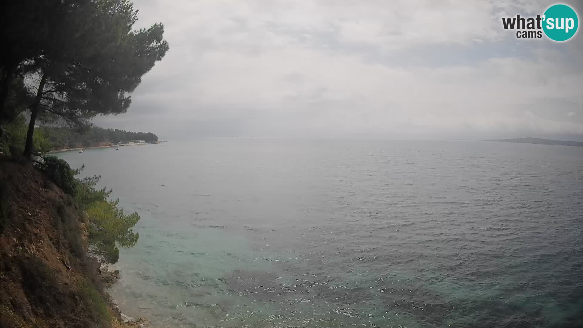 Webcam Potočine Beach Bol – Live View of Borak Beach, Brač Island