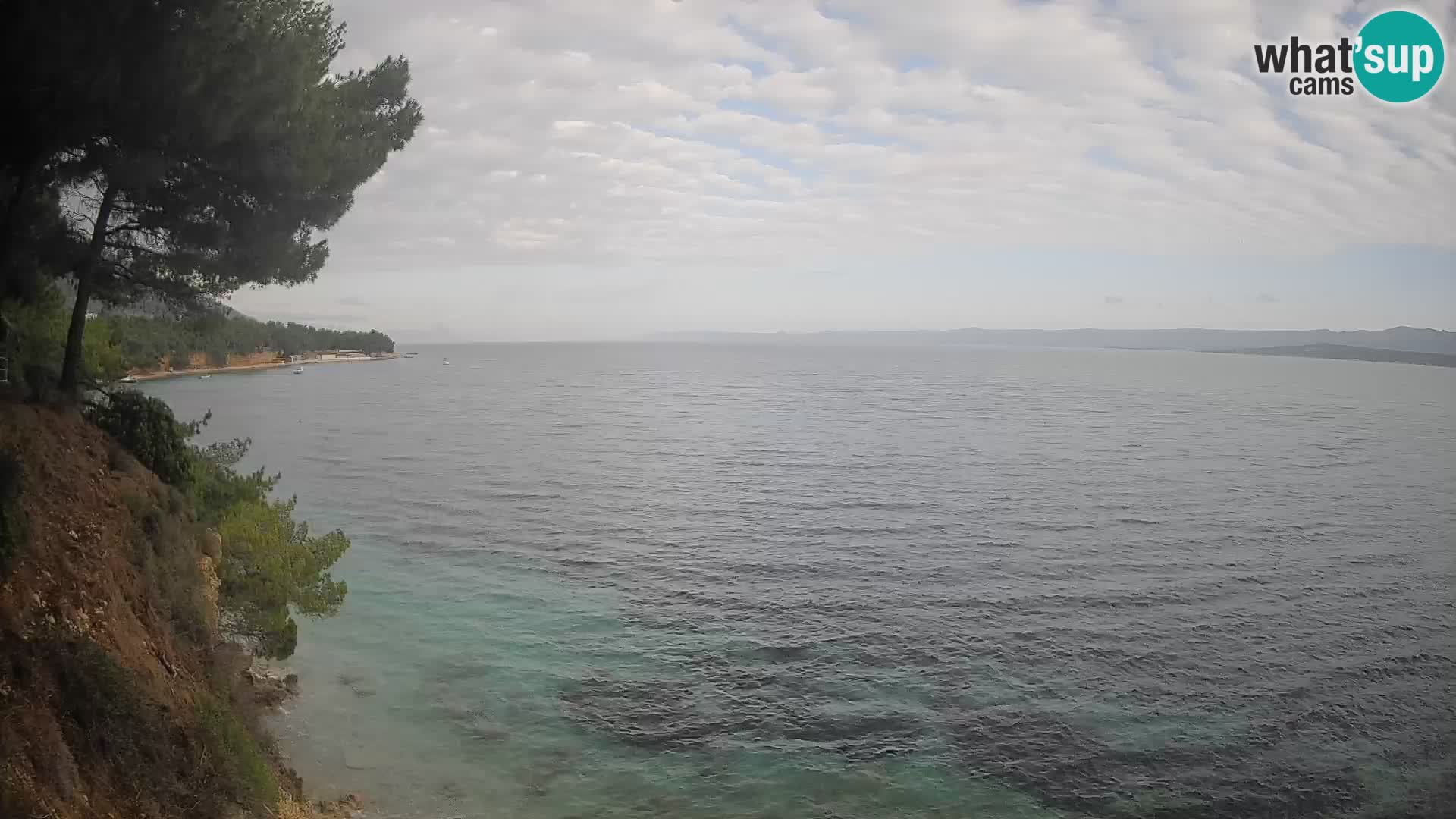 Webcam Potočine Beach Bol – Live View of Borak Beach, Brač Island