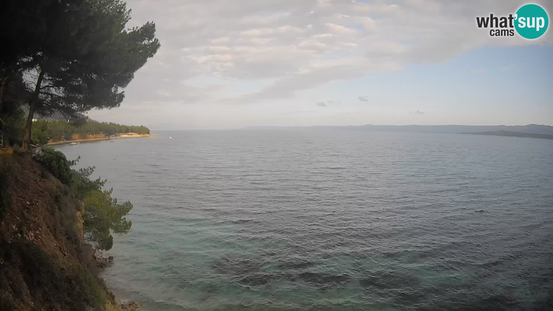Webcam Potočine Beach Bol – Live View of Borak Beach, Brač Island