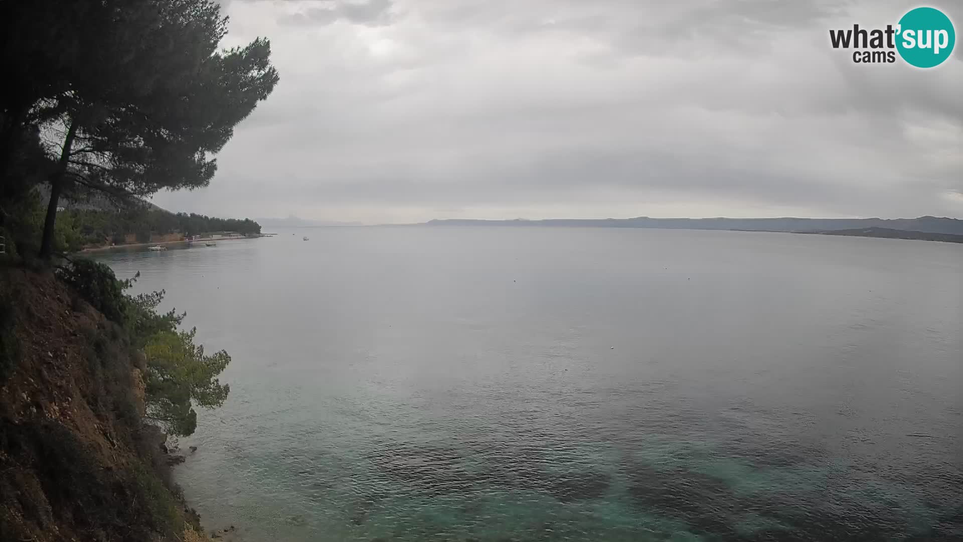 Webcam Playa Potočine Bol – Vista en vivo de Borak Beach, Isla de Brač