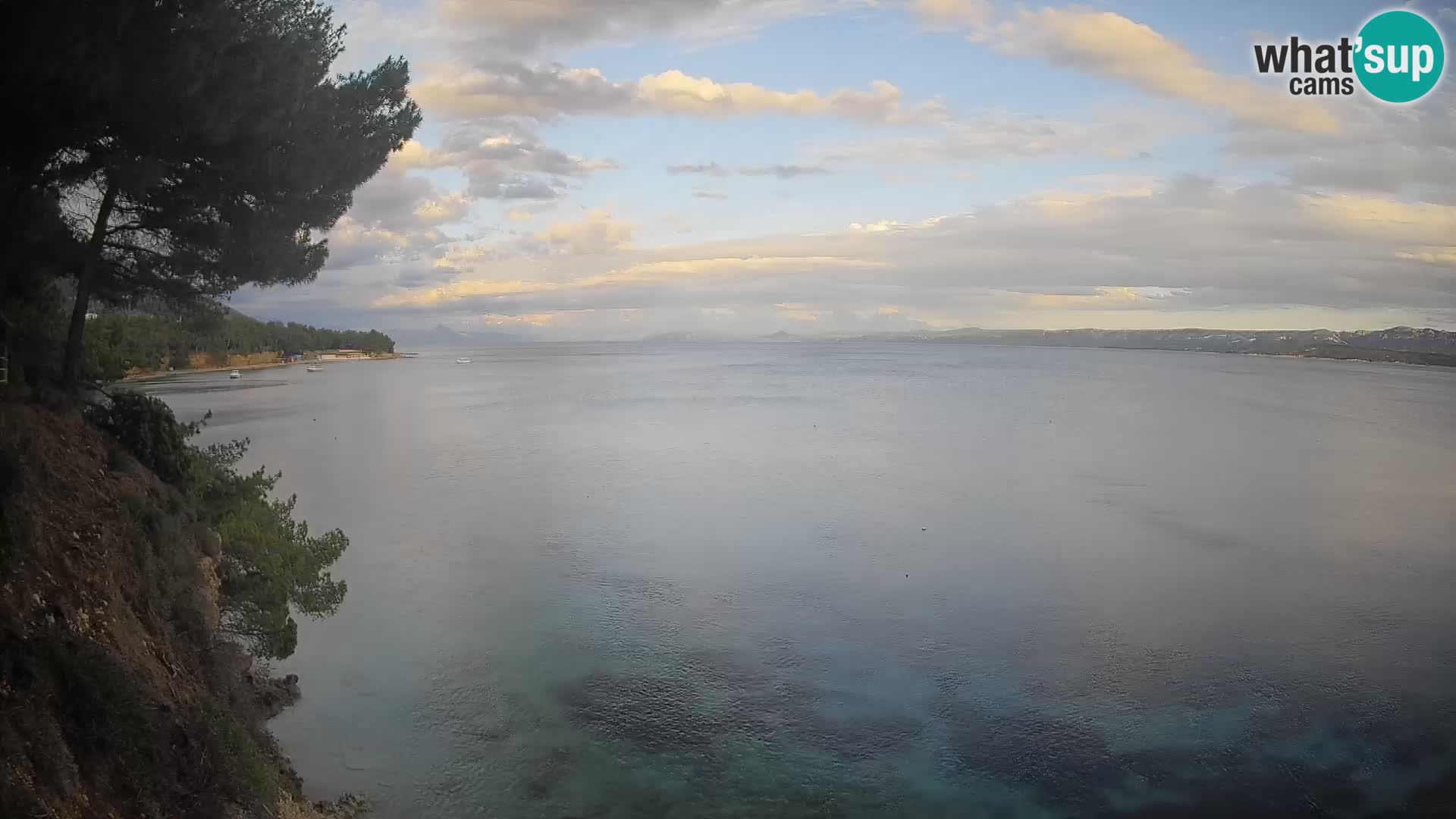 Webcam Playa Potočine Bol – Vista en vivo de Borak Beach, Isla de Brač