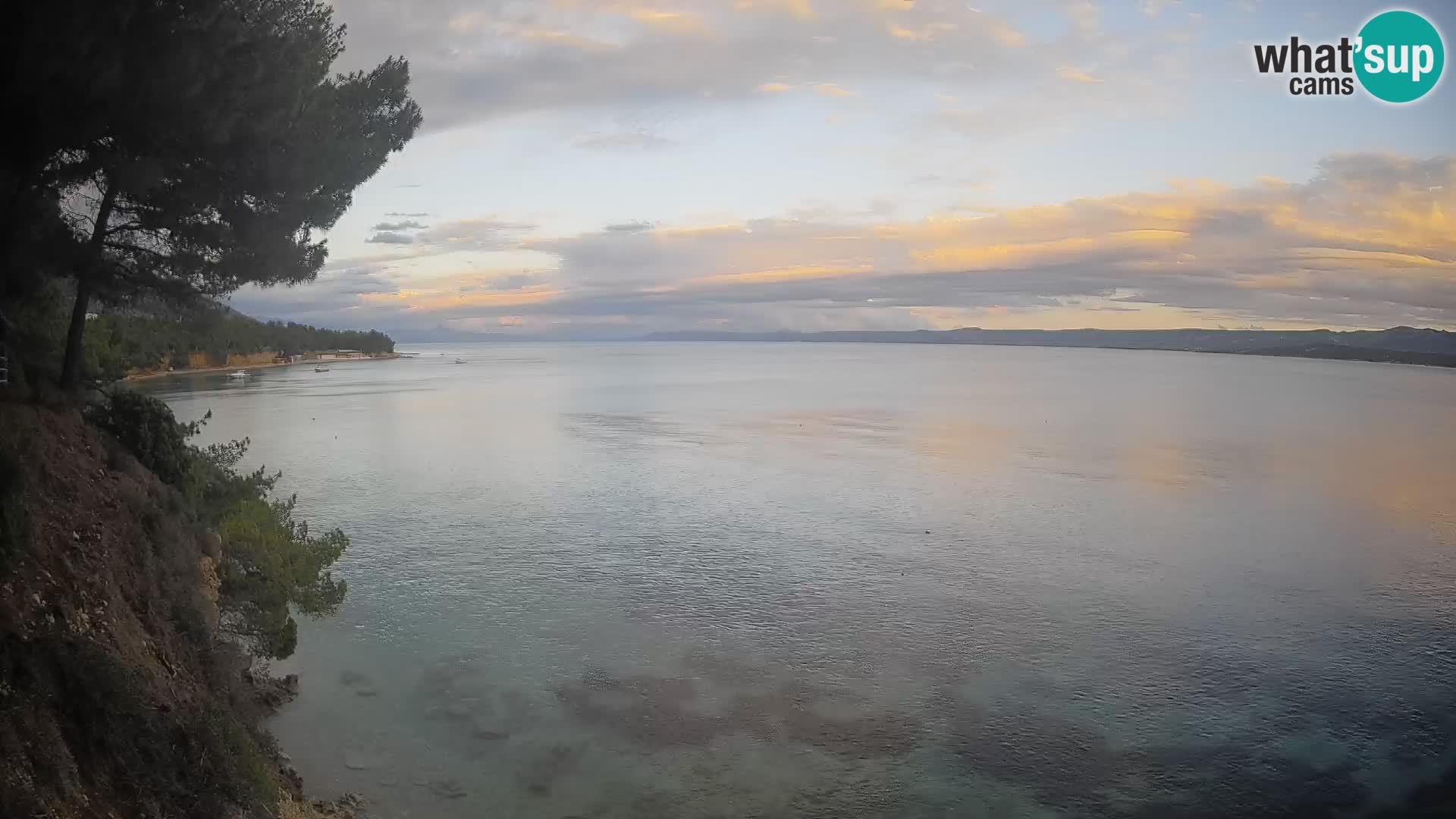 Webcam Playa Potočine Bol – Vista en vivo de Borak Beach, Isla de Brač