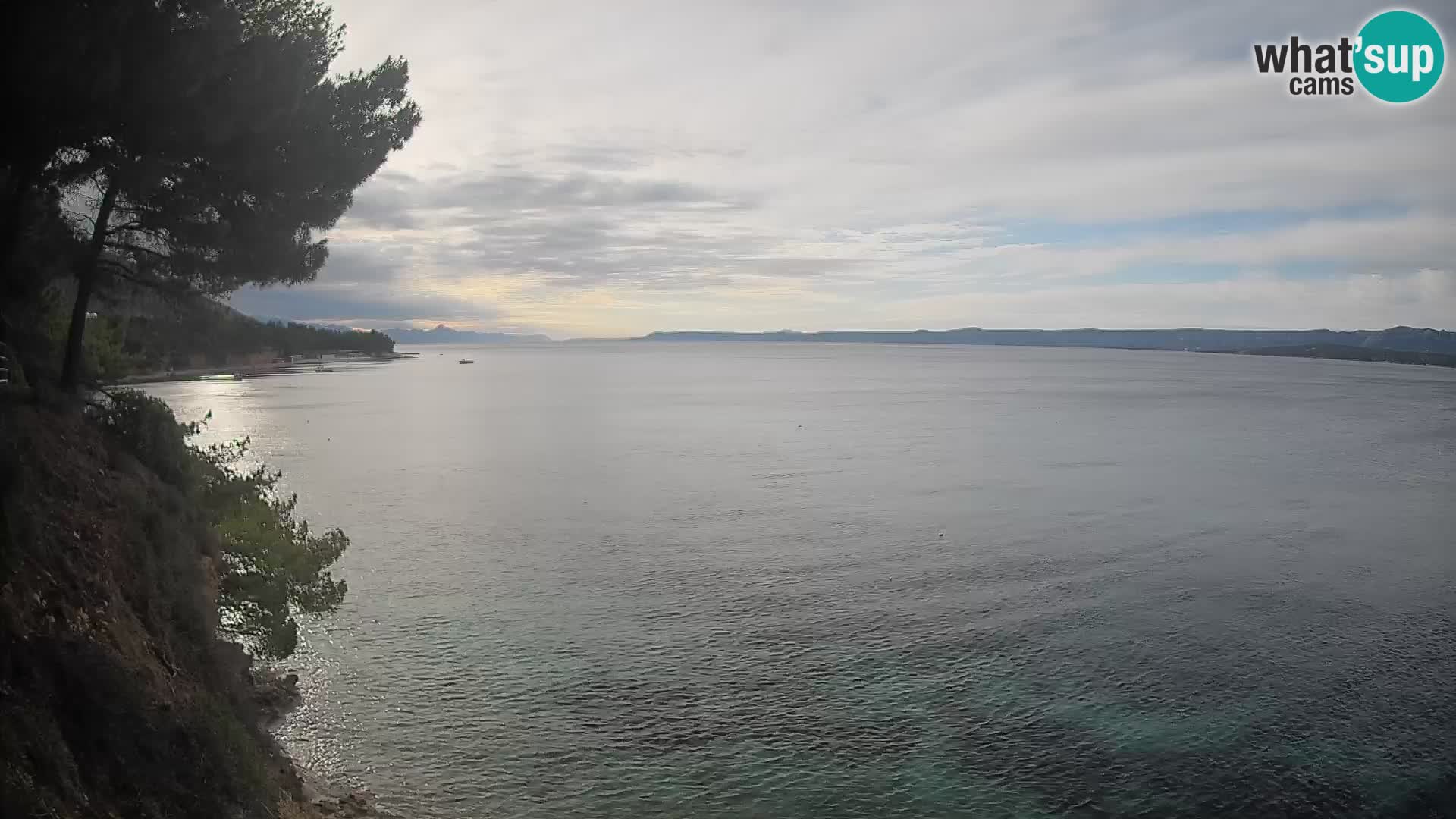 Webcam Potočine Beach Bol – Live View of Borak Beach, Brač Island