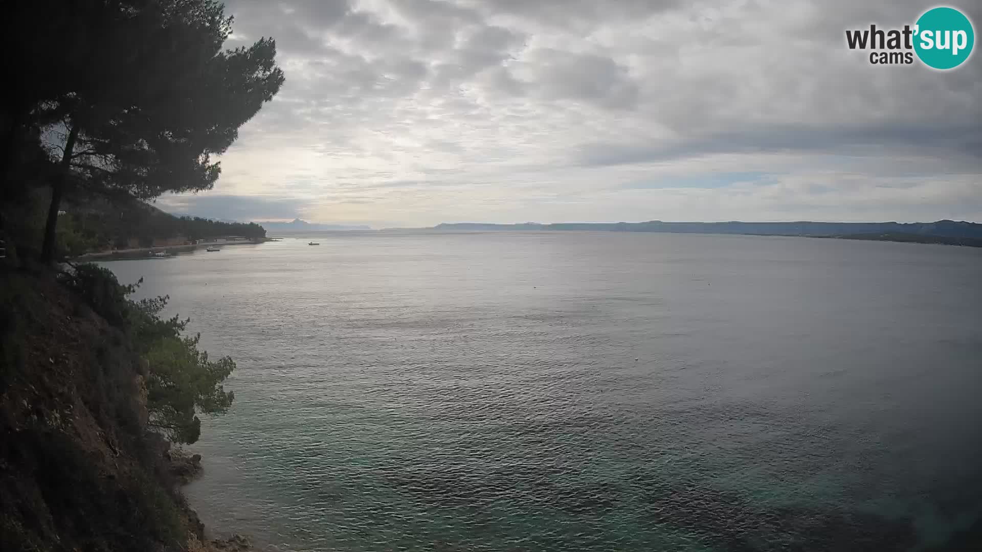 Webcam Potočine Beach Bol – Live View of Borak Beach, Brač Island