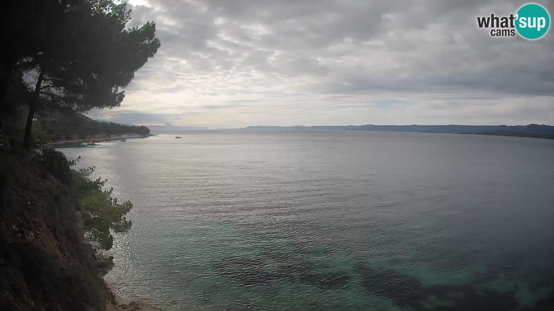 Webcam Playa Potočine Bol – Vista en vivo de Borak Beach, Isla de Brač