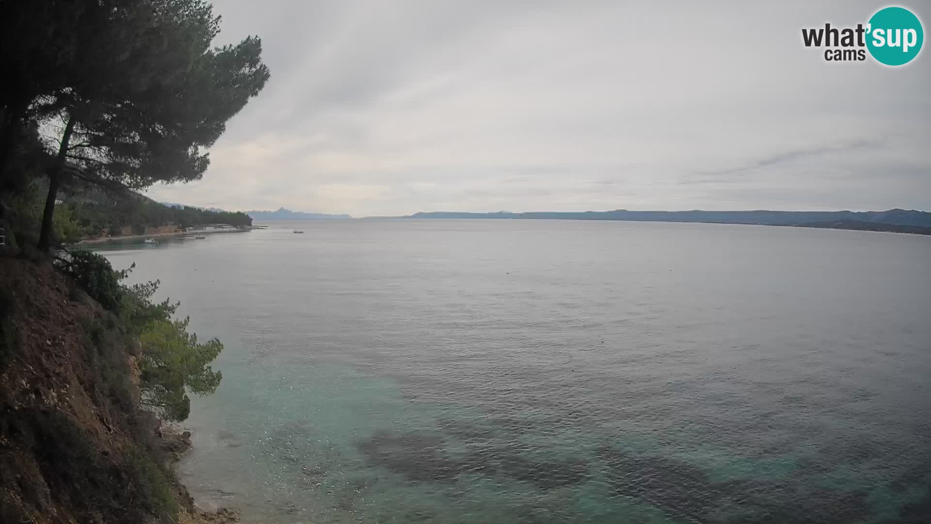 Webcam Potočine Beach Bol – Live View of Borak Beach, Brač Island
