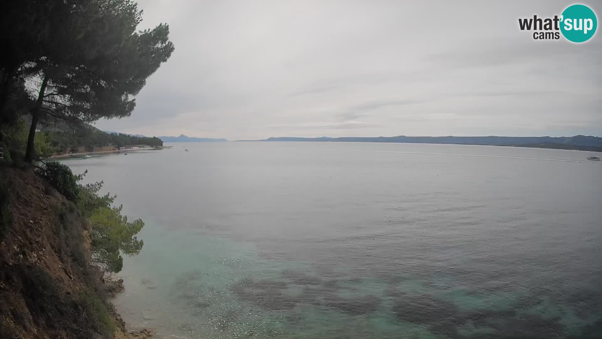 Webcam Playa Potočine Bol – Vista en vivo de Borak Beach, Isla de Brač