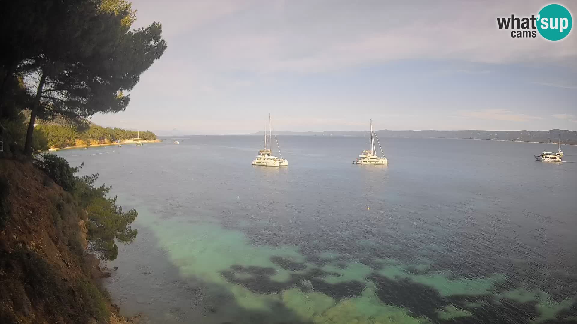 Webcam Potočine Beach Bol – Live View of Borak Beach, Brač Island