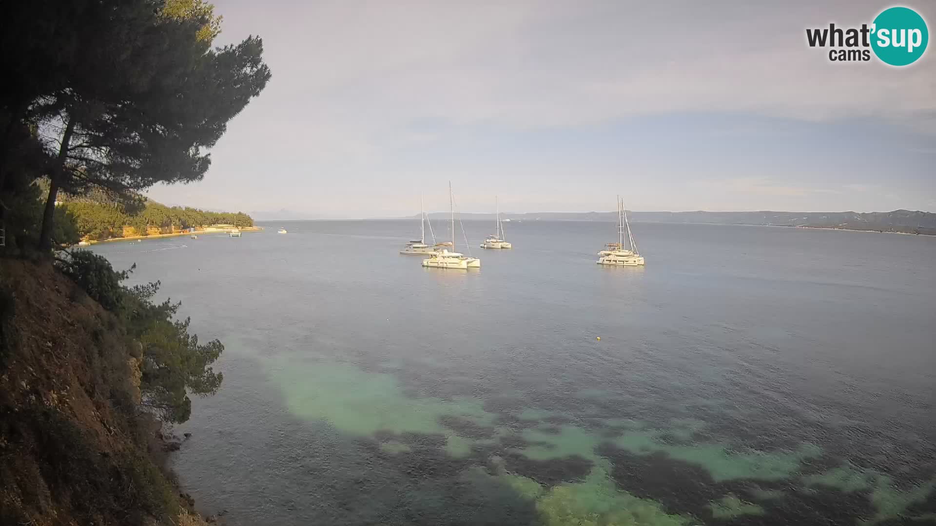 Webcam Potočine Beach Bol – Live View of Borak Beach, Brač Island