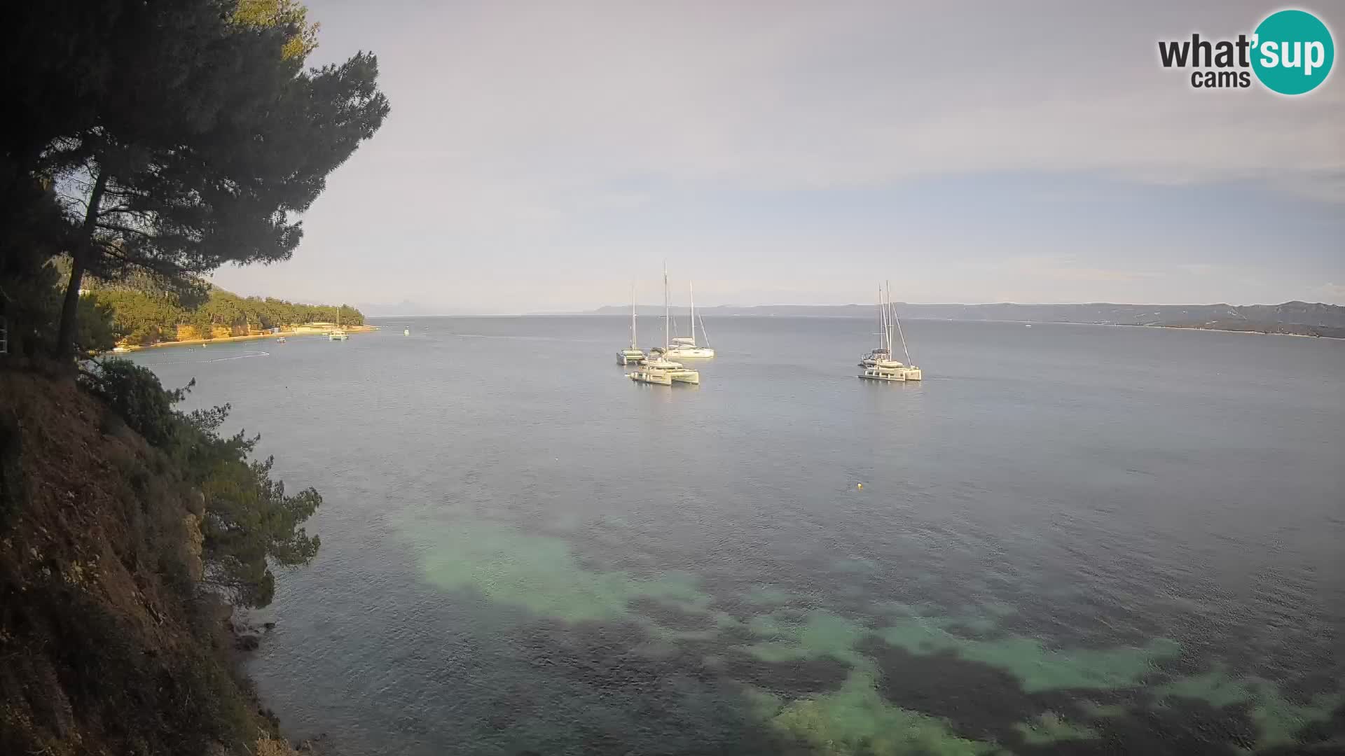 Webcam Potočine Beach Bol – Live View of Borak Beach, Brač Island