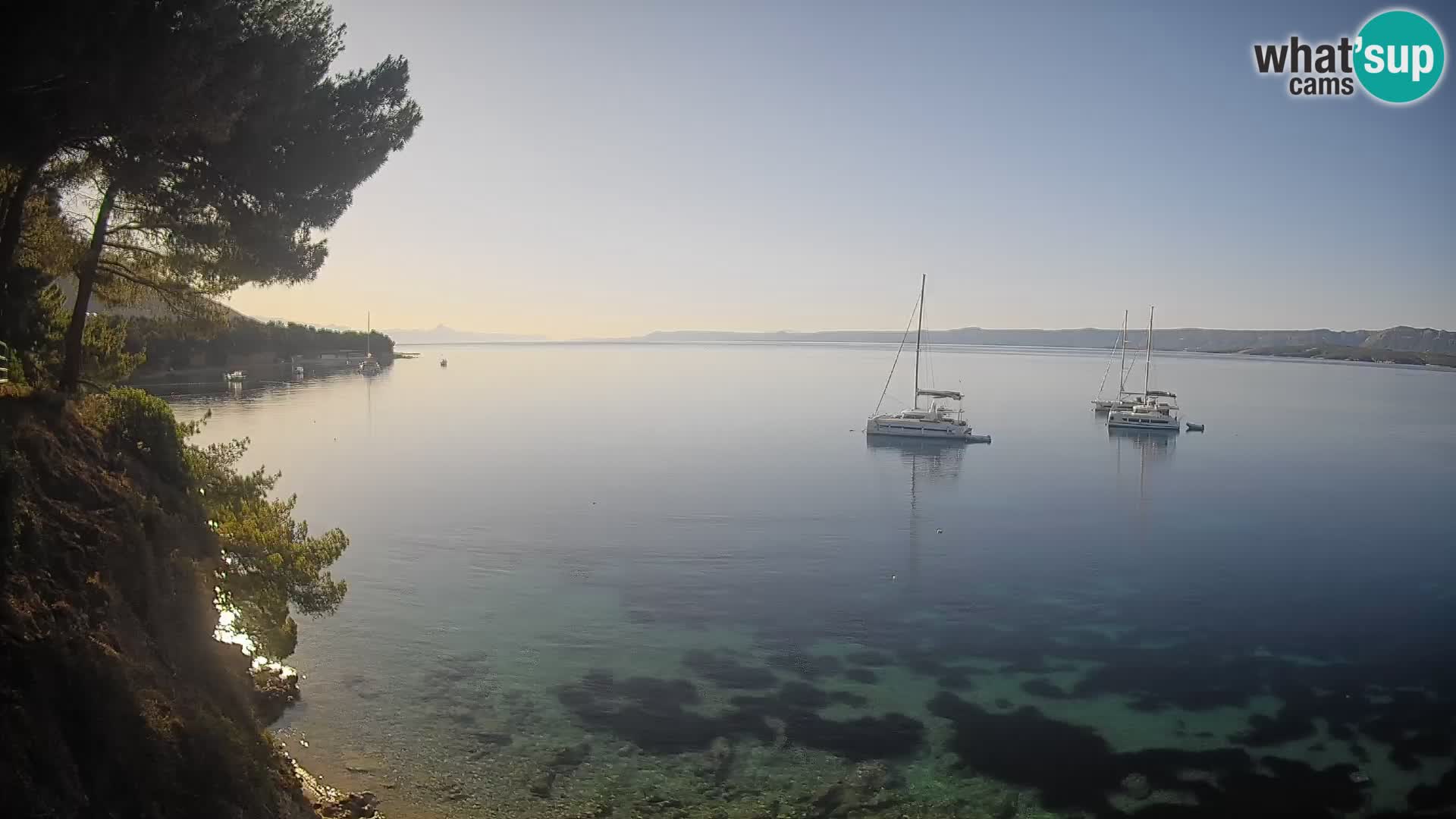 Webcam Playa Potočine Bol – Vista en vivo de Borak Beach, Isla de Brač