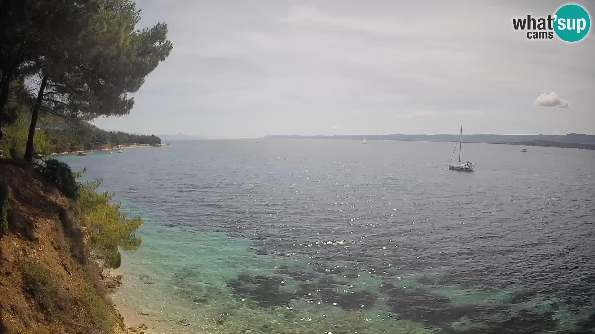 Webcam Potočine Beach Bol – Live View of Borak Beach, Brač Island