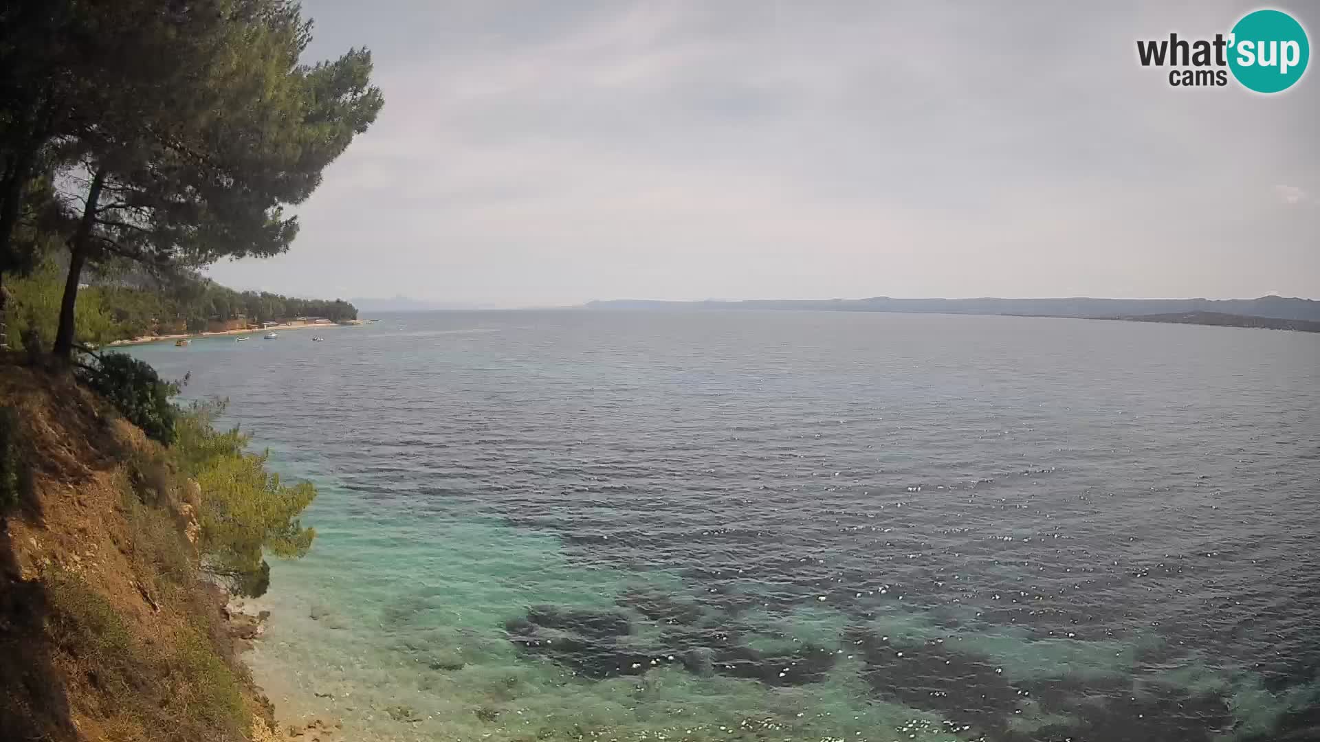 Webcam Potočine Beach Bol – Live View of Borak Beach, Brač Island